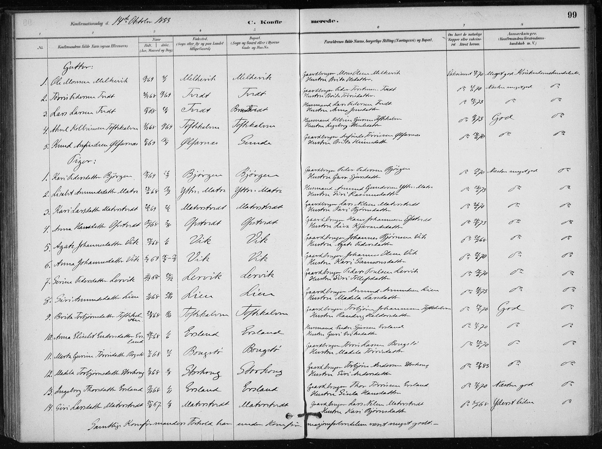 Skånevik sokneprestembete, SAB/A-77801/H/Haa: Parish register (official) no. C  1, 1879-1917, p. 99