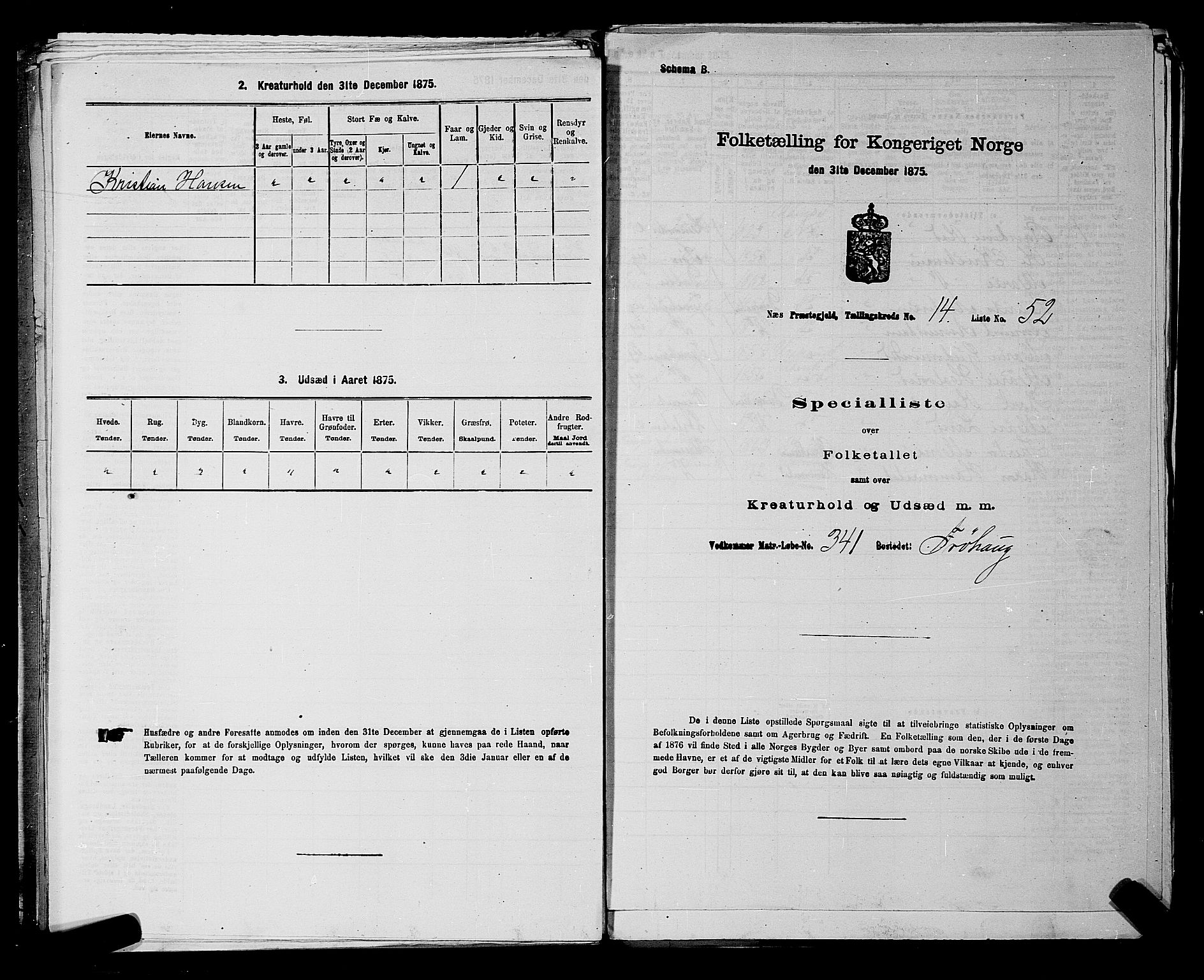 RA, 1875 census for 0236P Nes, 1875, p. 2587