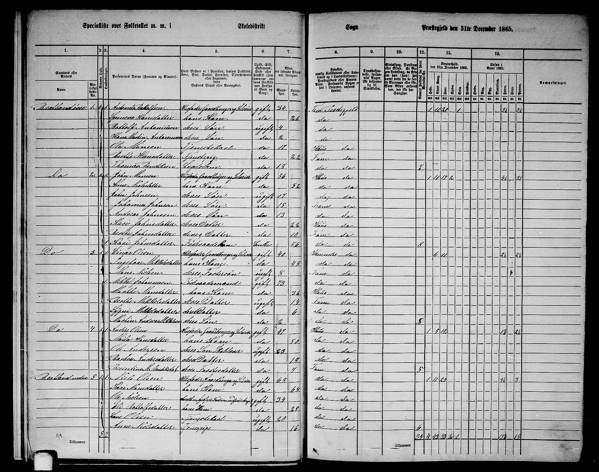 RA, 1865 census for Fana, 1865, p. 12