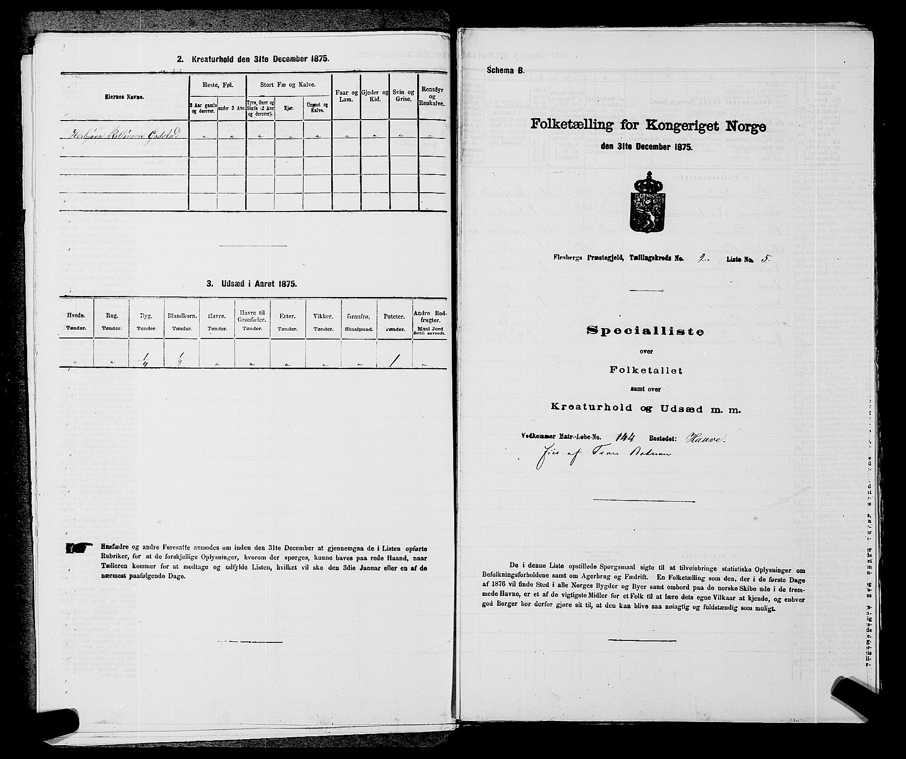 SAKO, 1875 census for 0631P Flesberg, 1875, p. 489