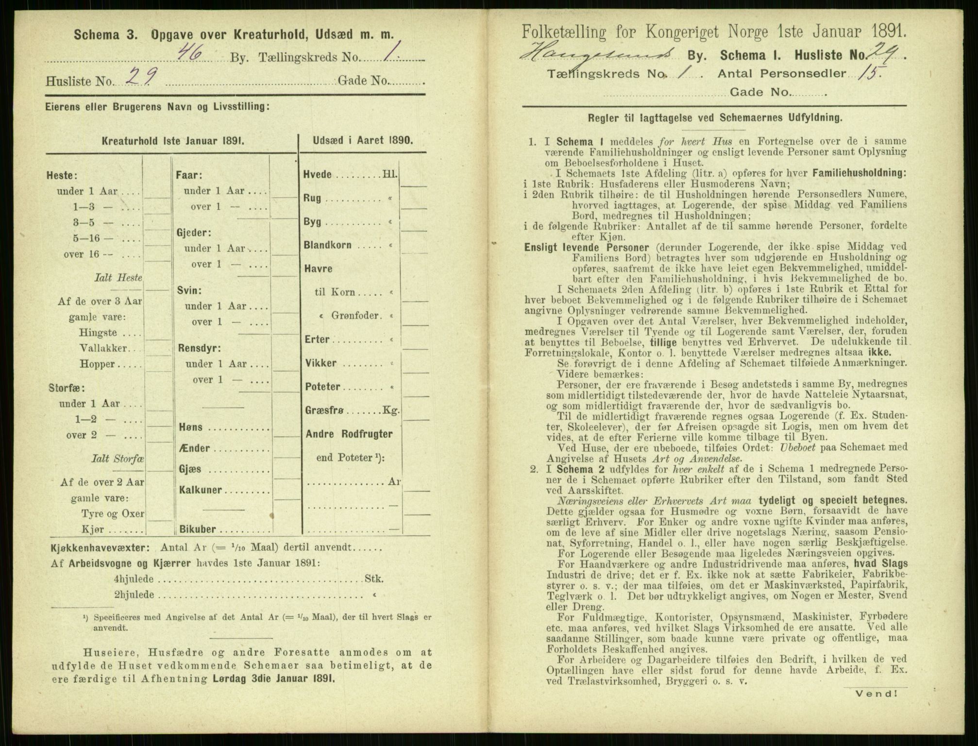 RA, 1891 census for 1106 Haugesund, 1891, p. 93