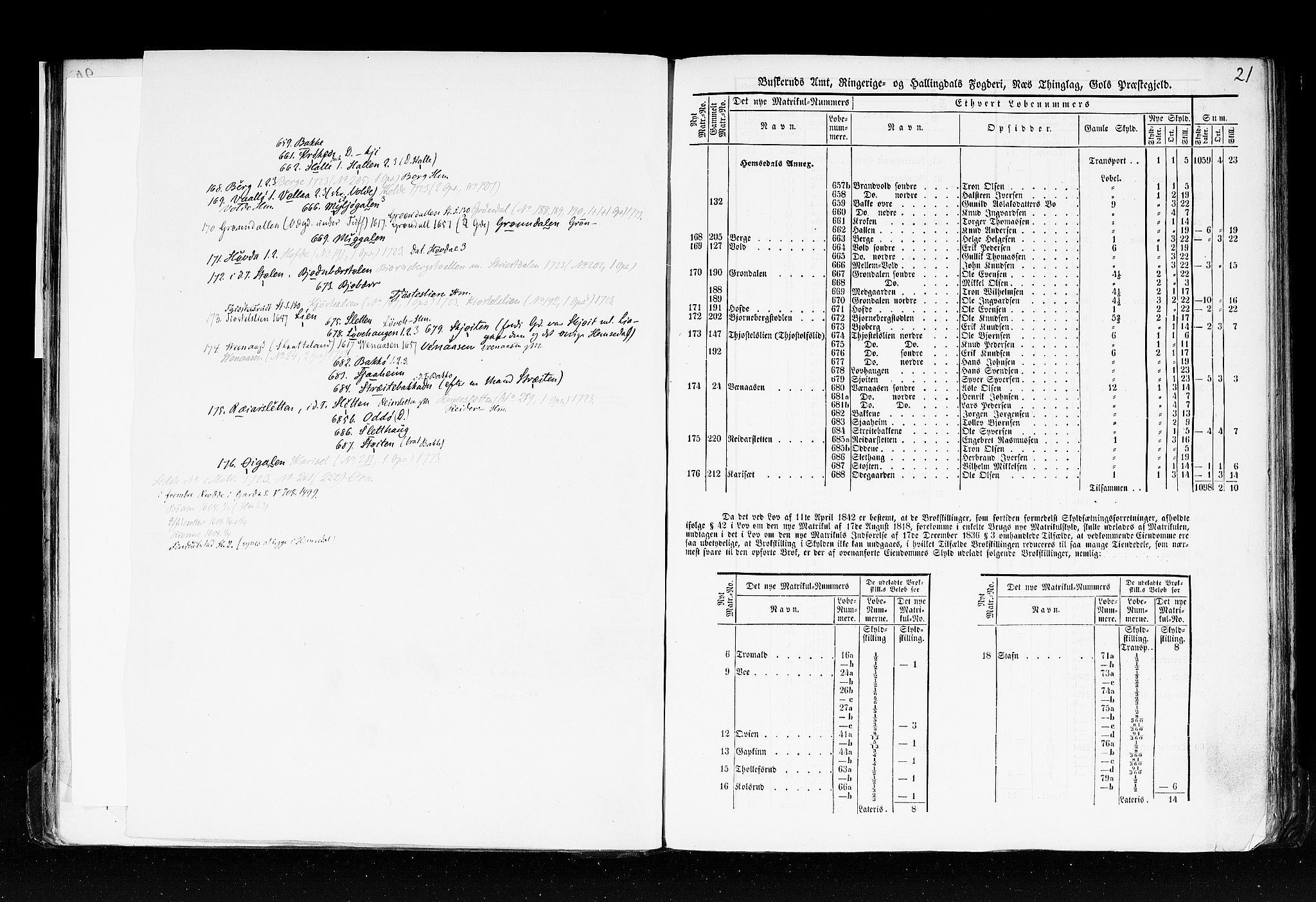 Rygh, AV/RA-PA-0034/F/Fb/L0005: Matrikkelen for 1838 - Buskerud amt (Buskerud fylke), 1838, p. 21a