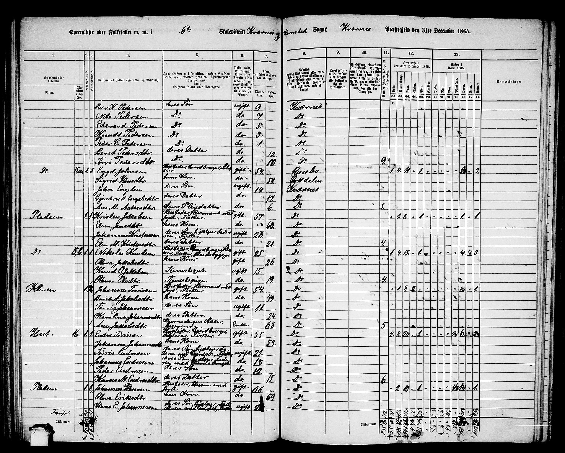 RA, 1865 census for Kvernes, 1865, p. 113