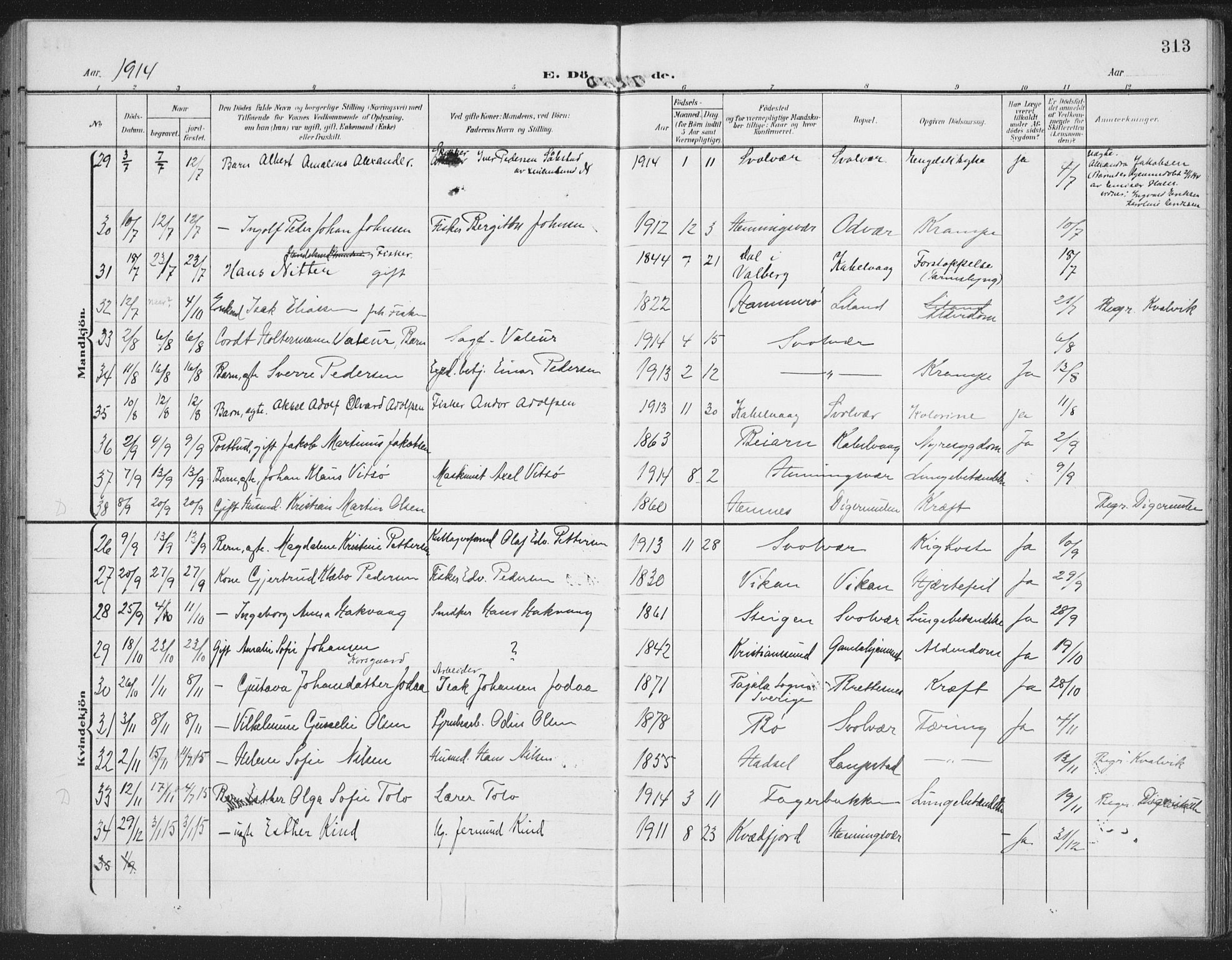 Ministerialprotokoller, klokkerbøker og fødselsregistre - Nordland, AV/SAT-A-1459/874/L1063: Parish register (official) no. 874A07, 1907-1915, p. 313