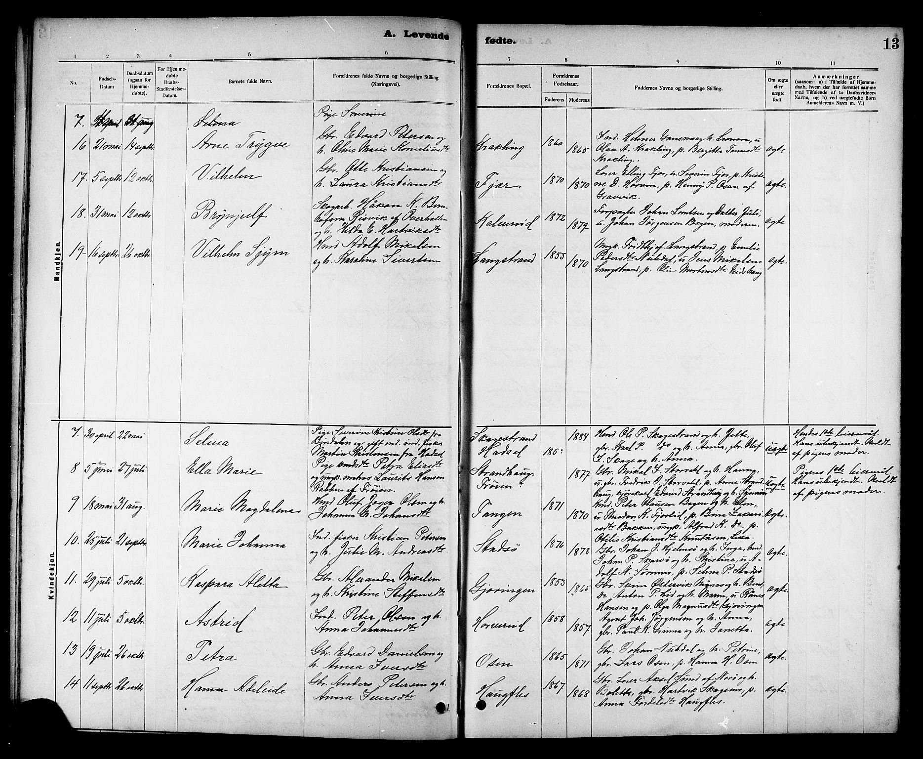 Ministerialprotokoller, klokkerbøker og fødselsregistre - Nord-Trøndelag, SAT/A-1458/780/L0652: Parish register (copy) no. 780C04, 1899-1911, p. 13