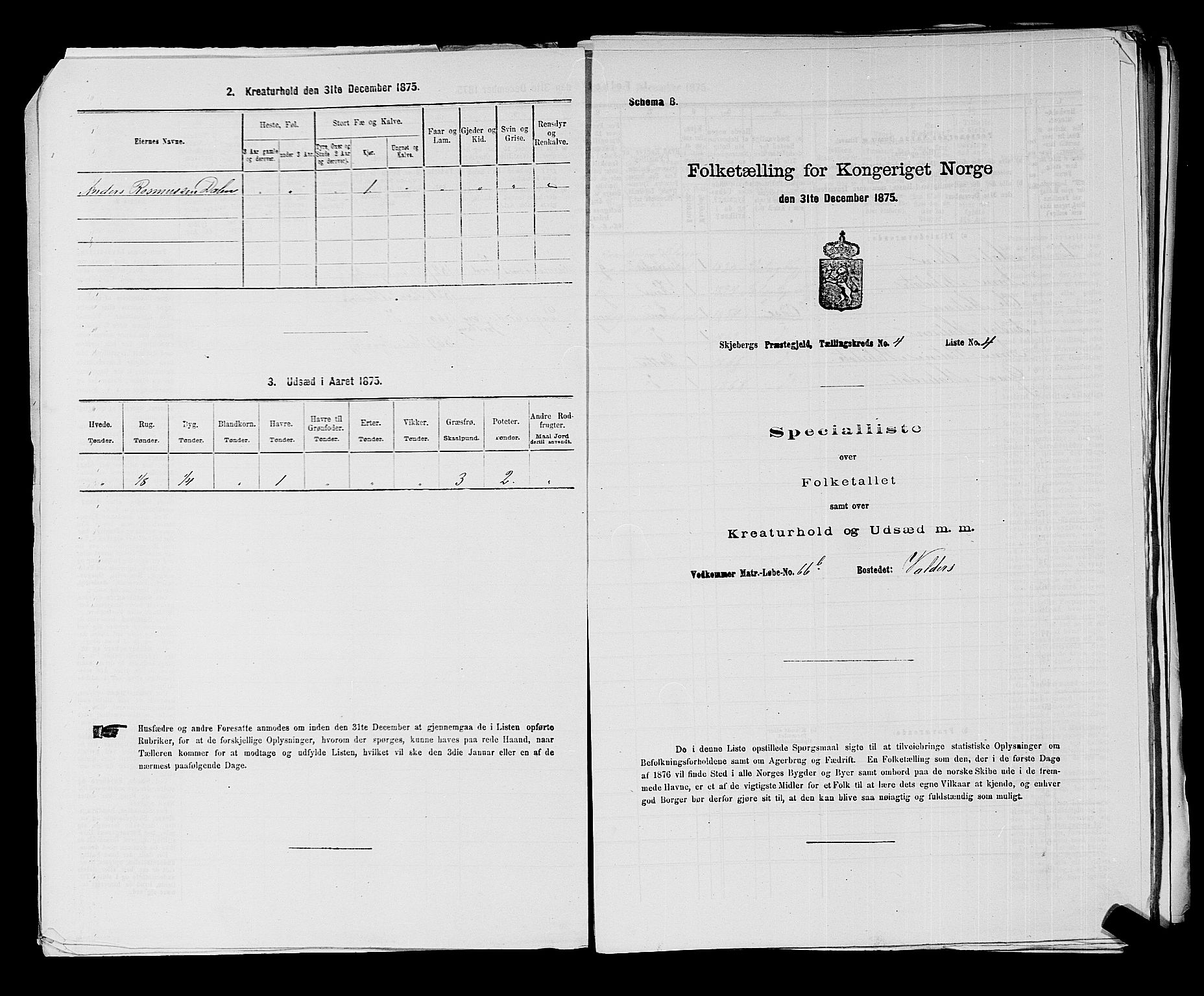 RA, 1875 census for 0115P Skjeberg, 1875, p. 717