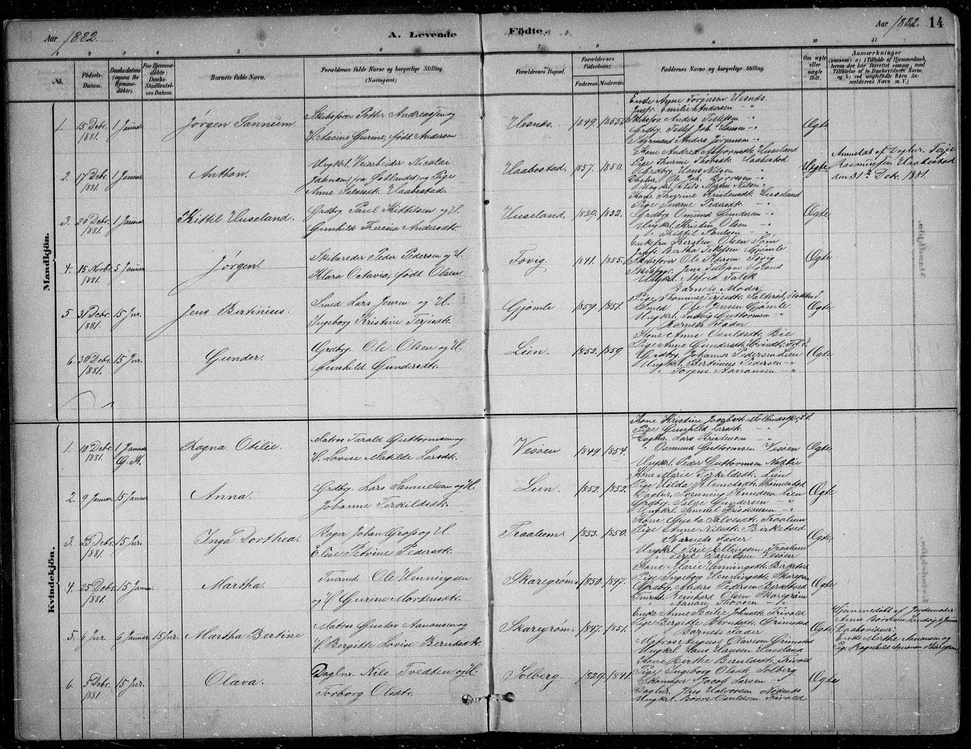 Fjære sokneprestkontor, SAK/1111-0011/F/Fb/L0011: Parish register (copy) no. B 11, 1881-1905, p. 14