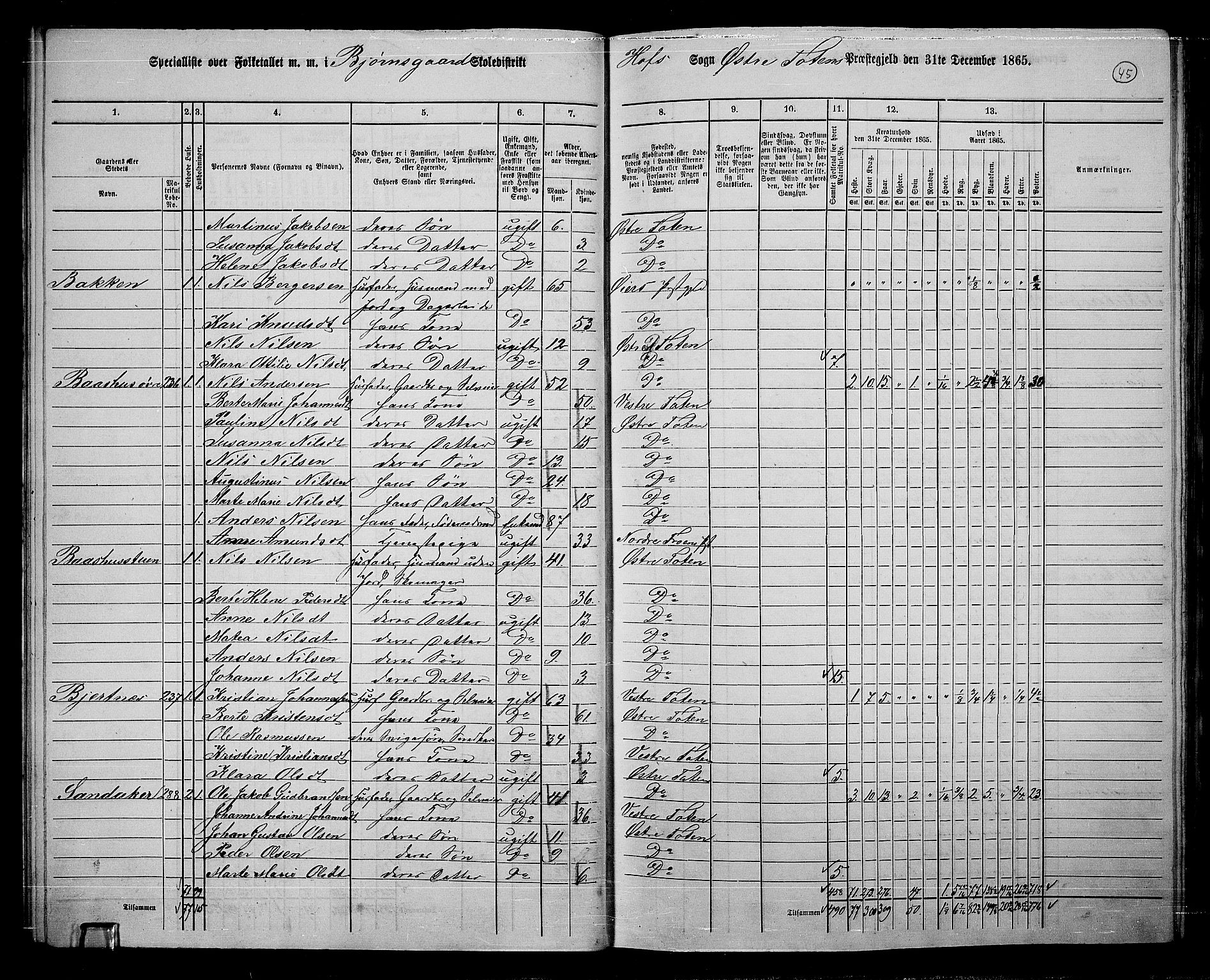 RA, 1865 census for Østre Toten, 1865, p. 174