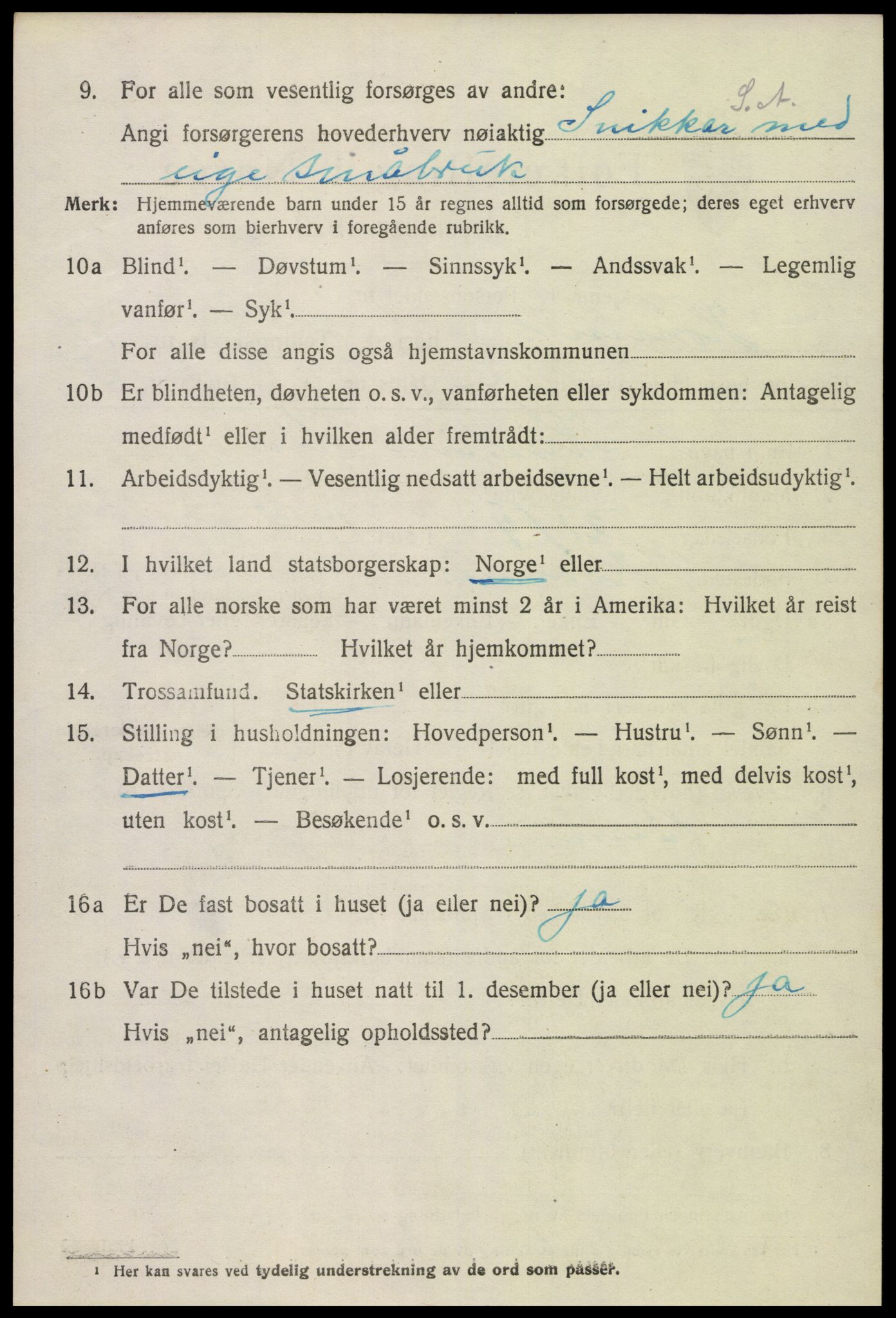 SAK, 1920 census for Hornnes, 1920, p. 1156