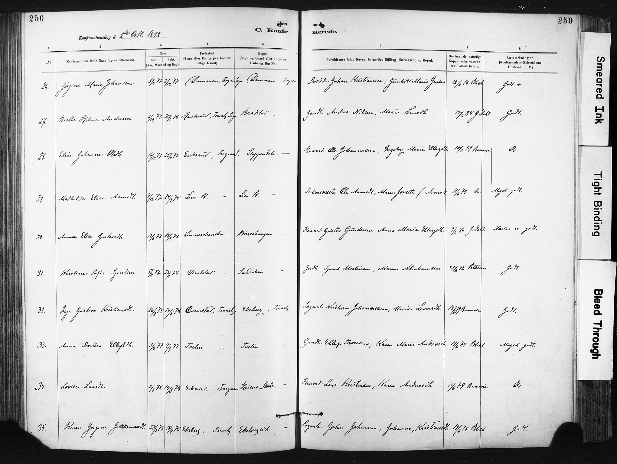 Lier kirkebøker, AV/SAKO-A-230/F/Fa/L0015: Parish register (official) no. I 15, 1883-1894, p. 250