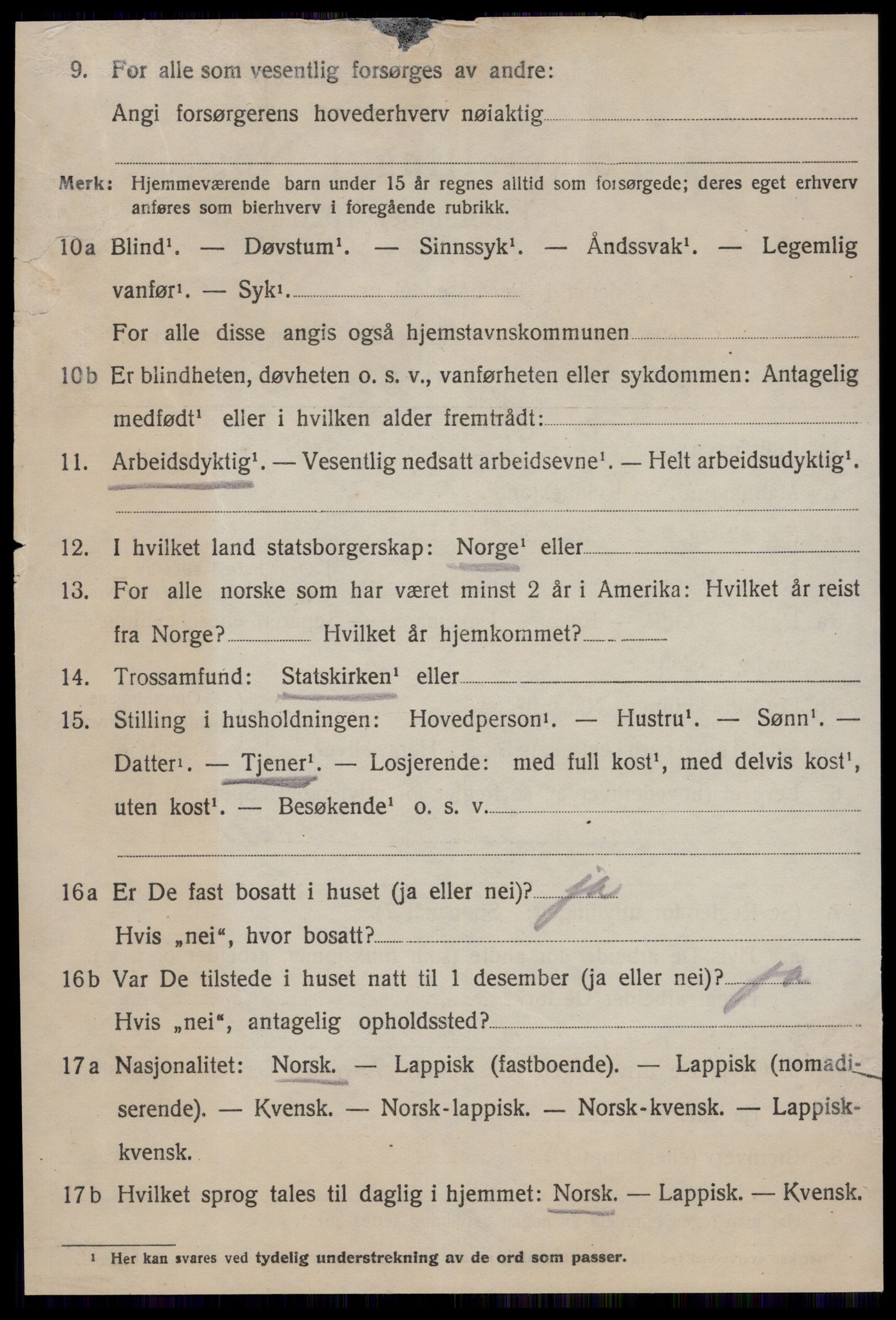 SAT, 1920 census for Strinda, 1920, p. 26117