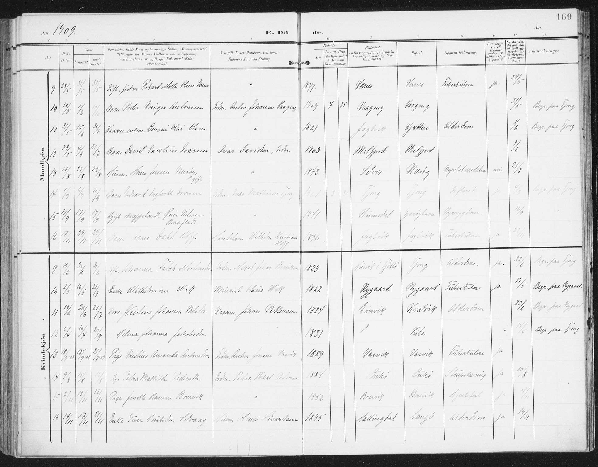 Ministerialprotokoller, klokkerbøker og fødselsregistre - Nordland, AV/SAT-A-1459/841/L0612: Parish register (official) no. 841A15, 1902-1910, p. 169