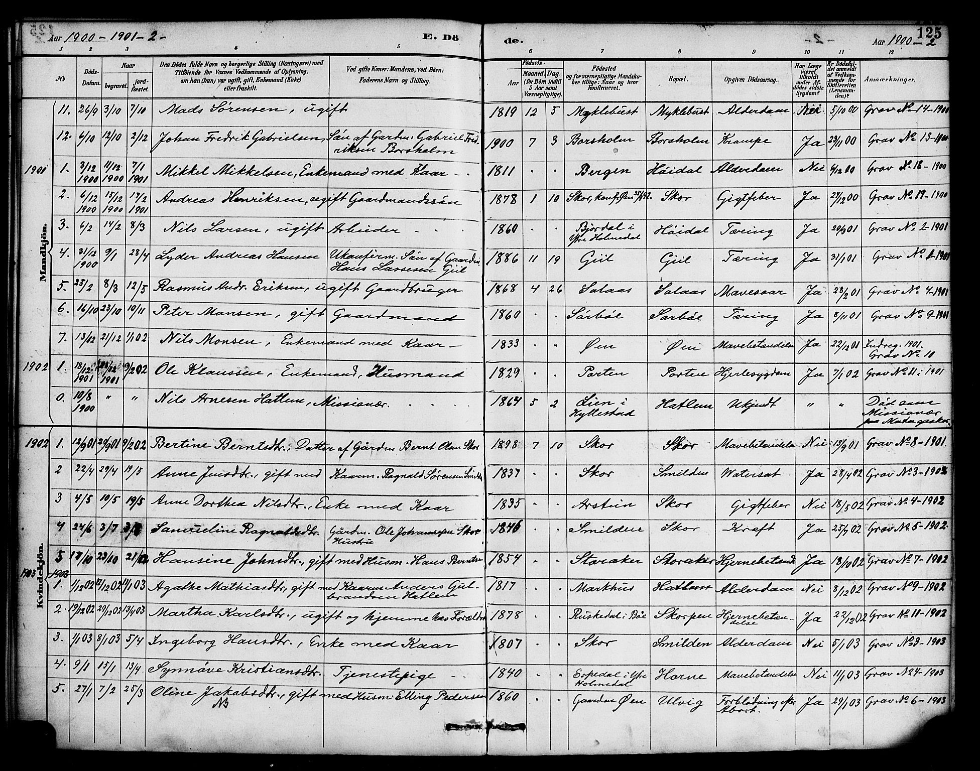 Hyllestad sokneprestembete, SAB/A-80401: Parish register (official) no. D 1, 1886-1905, p. 125