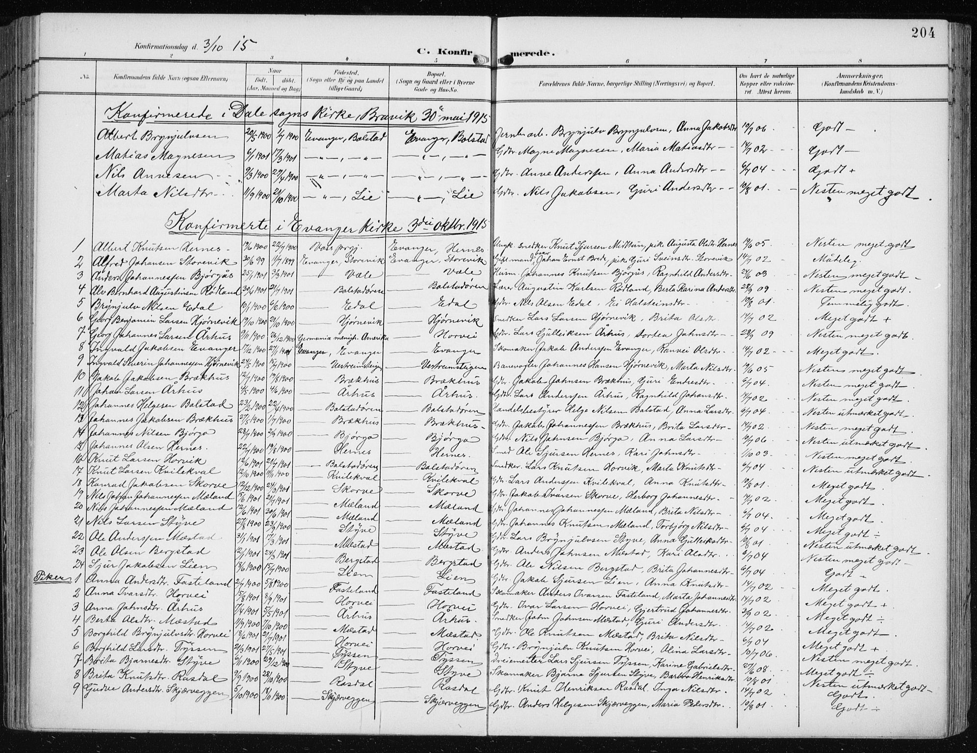 Evanger sokneprestembete, SAB/A-99924: Parish register (official) no. A  3, 1900-1930, p. 204