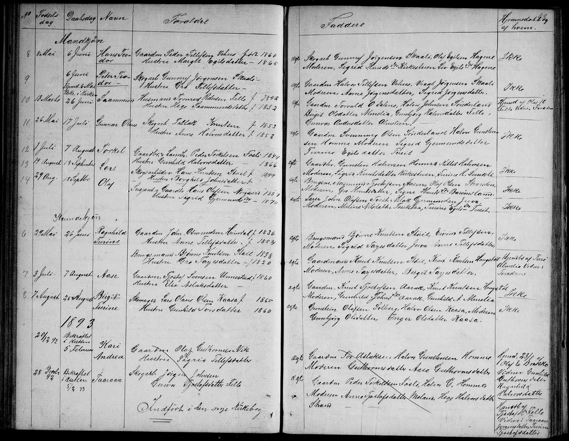 Nissedal kirkebøker, SAKO/A-288/G/Gb/L0002: Parish register (copy) no. II 2, 1863-1892, p. 48