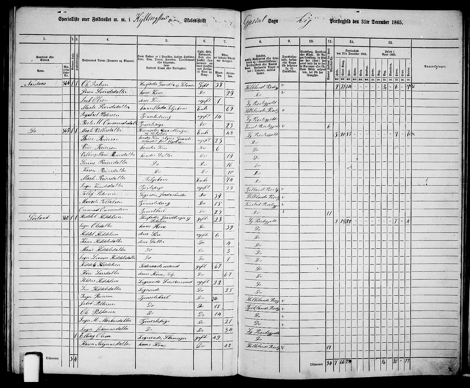 RA, 1865 census for Lye, 1865, p. 134