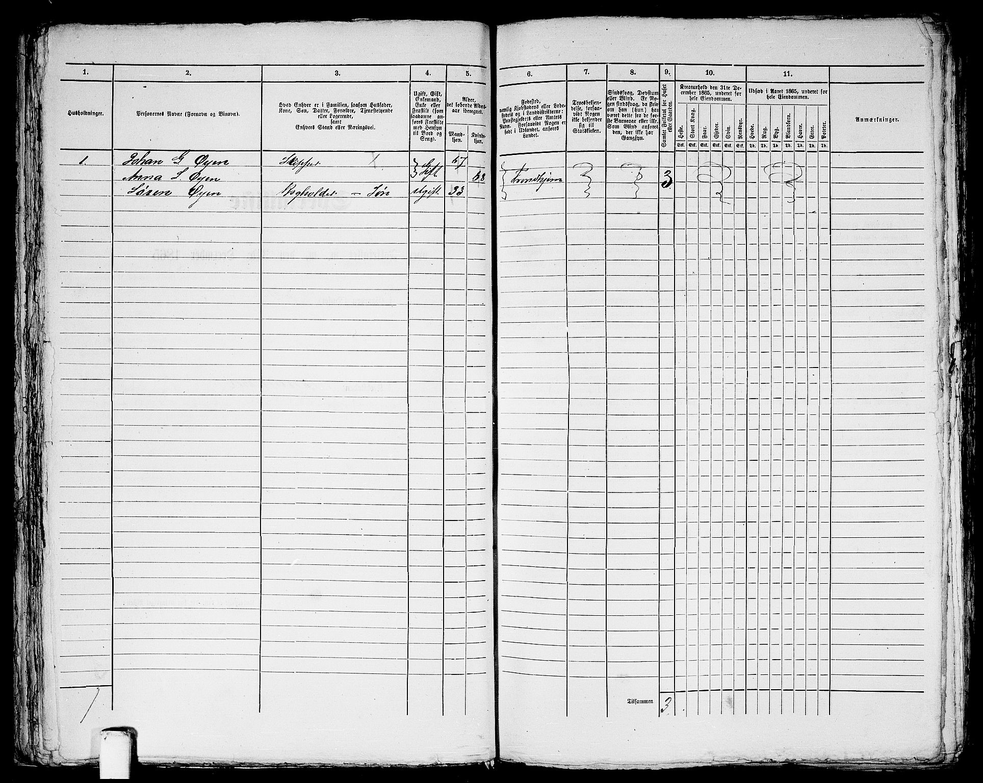 RA, 1865 census for Trondheim, 1865, p. 1143