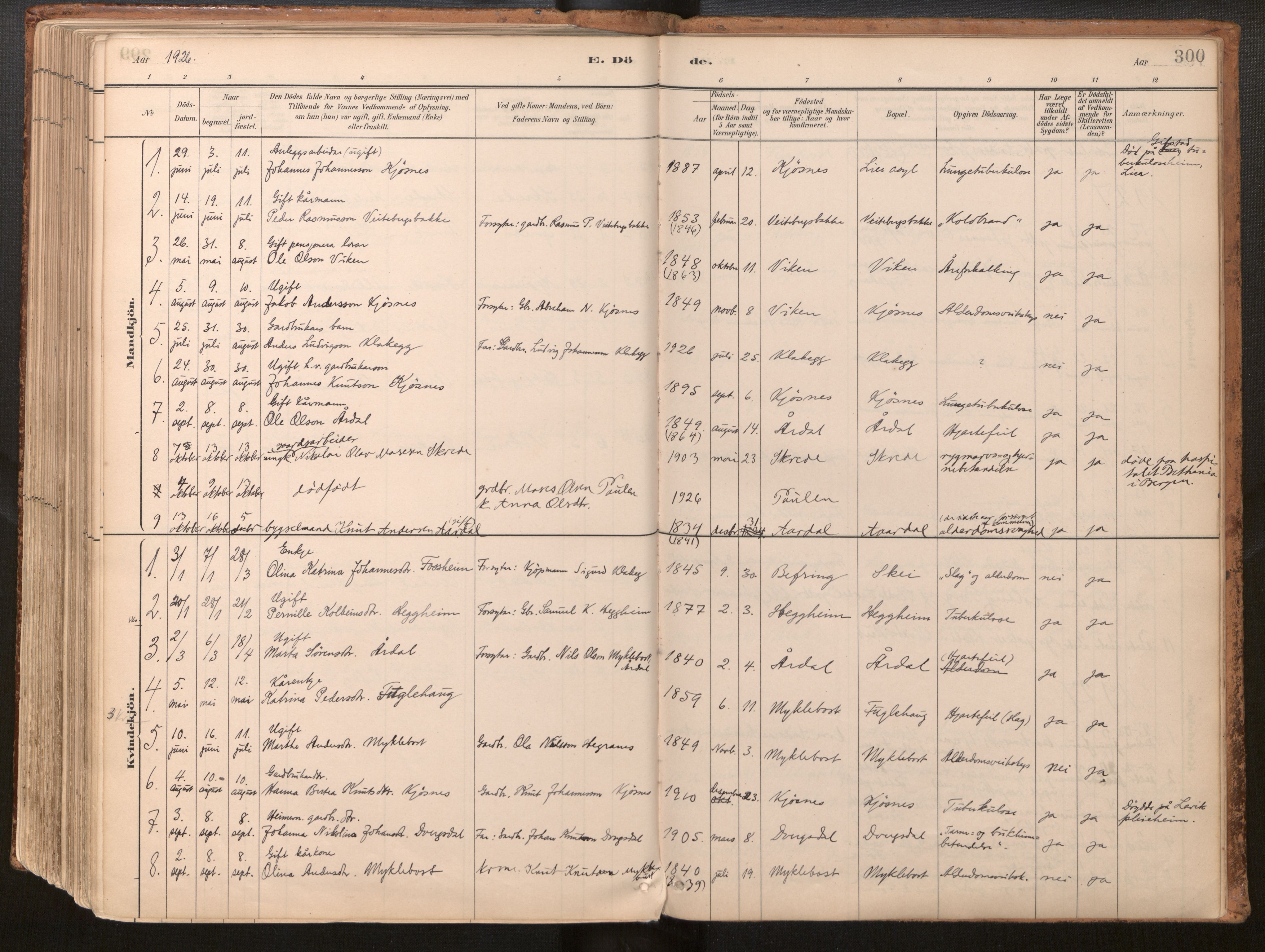 Jølster sokneprestembete, SAB/A-80701/H/Haa/Haac/L0001: Parish register (official) no. C 1, 1882-1928, p. 300