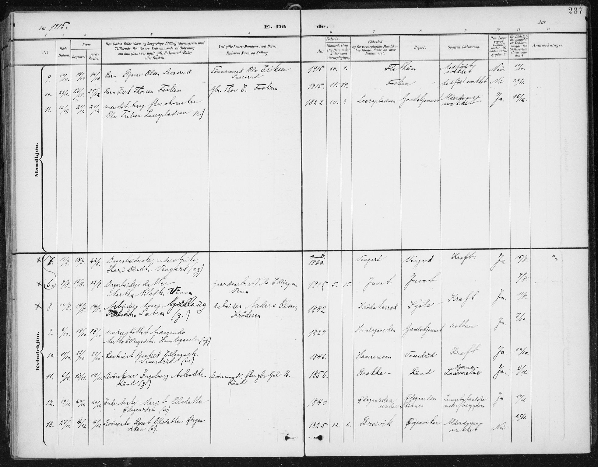 Krødsherad kirkebøker, AV/SAKO-A-19/F/Fa/L0007: Parish register (official) no. 7, 1900-1915, p. 237