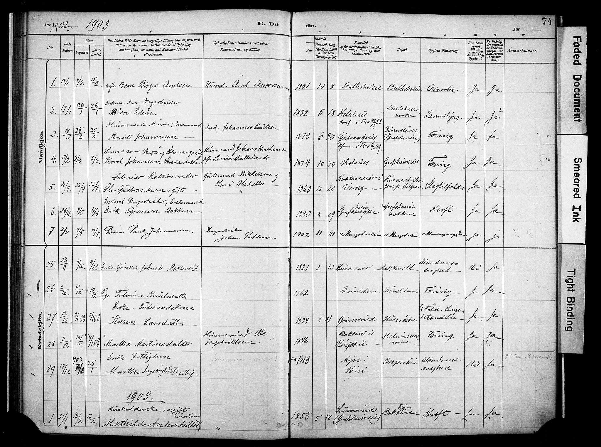 Nes prestekontor, Hedmark, AV/SAH-PREST-020/K/Ka/L0011: Parish register (official) no. 11, 1887-1905, p. 74