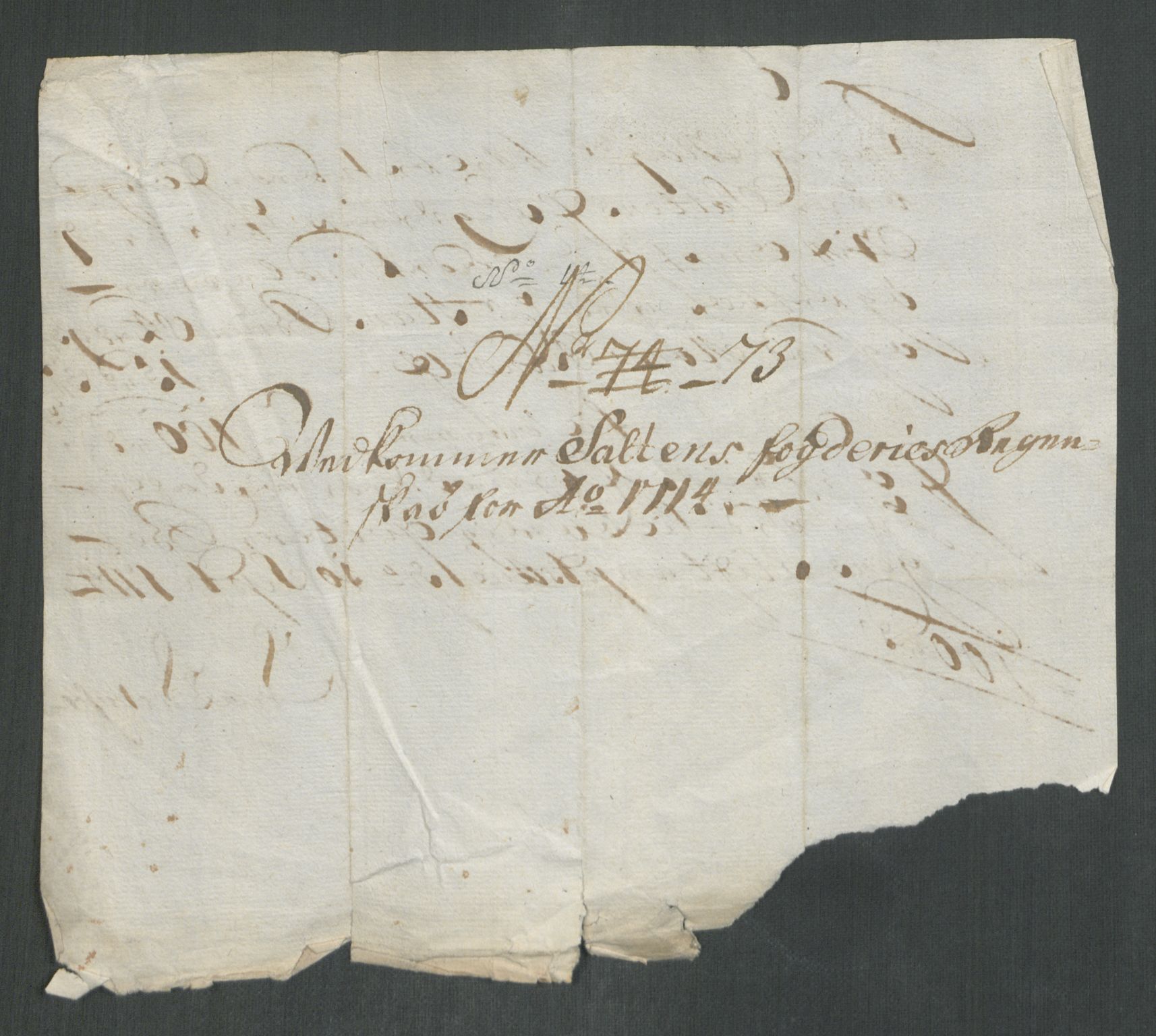 Rentekammeret inntil 1814, Reviderte regnskaper, Fogderegnskap, RA/EA-4092/R66/L4584: Fogderegnskap Salten, 1714, p. 361