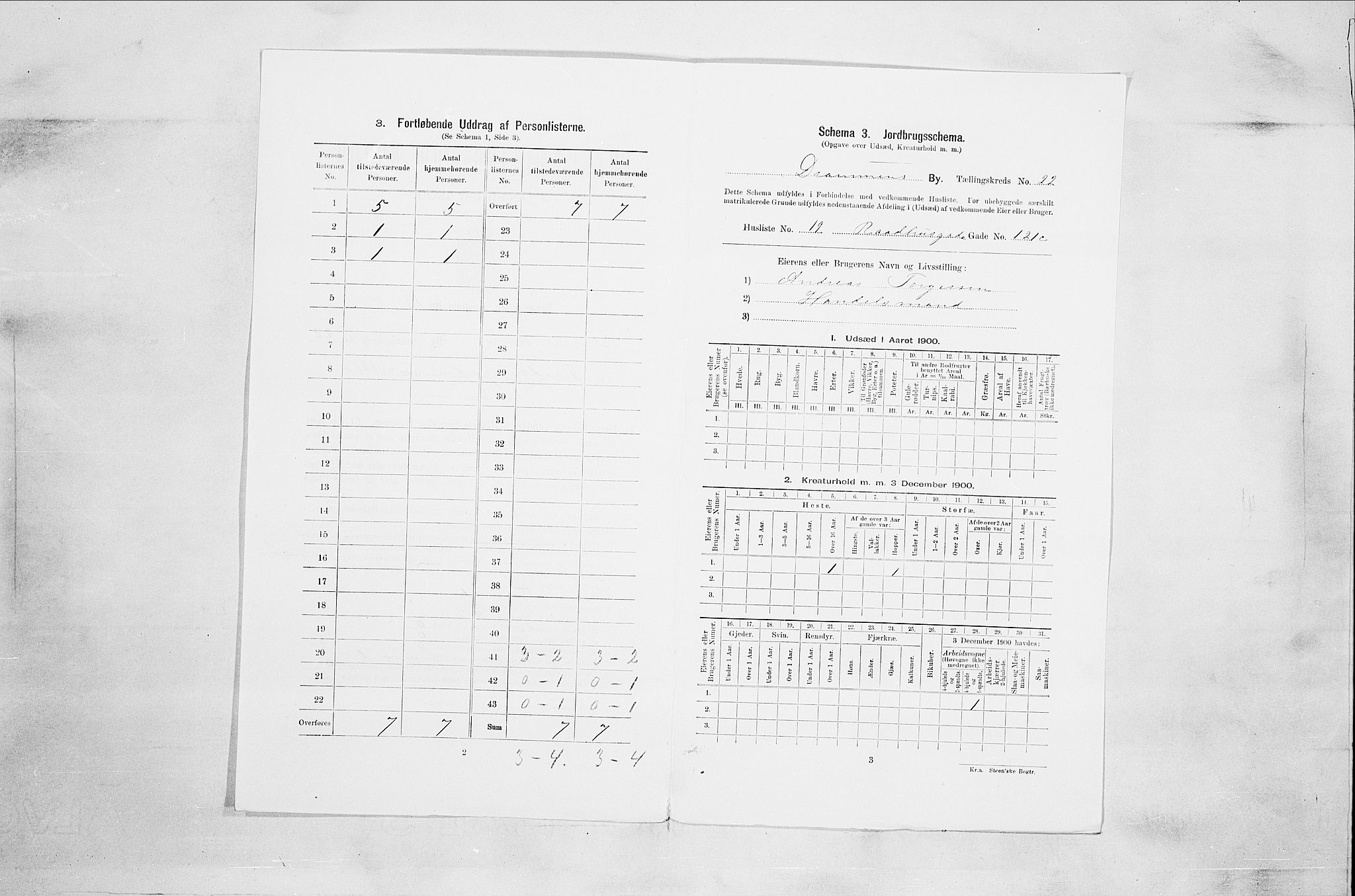 RA, 1900 census for Drammen, 1900, p. 3750