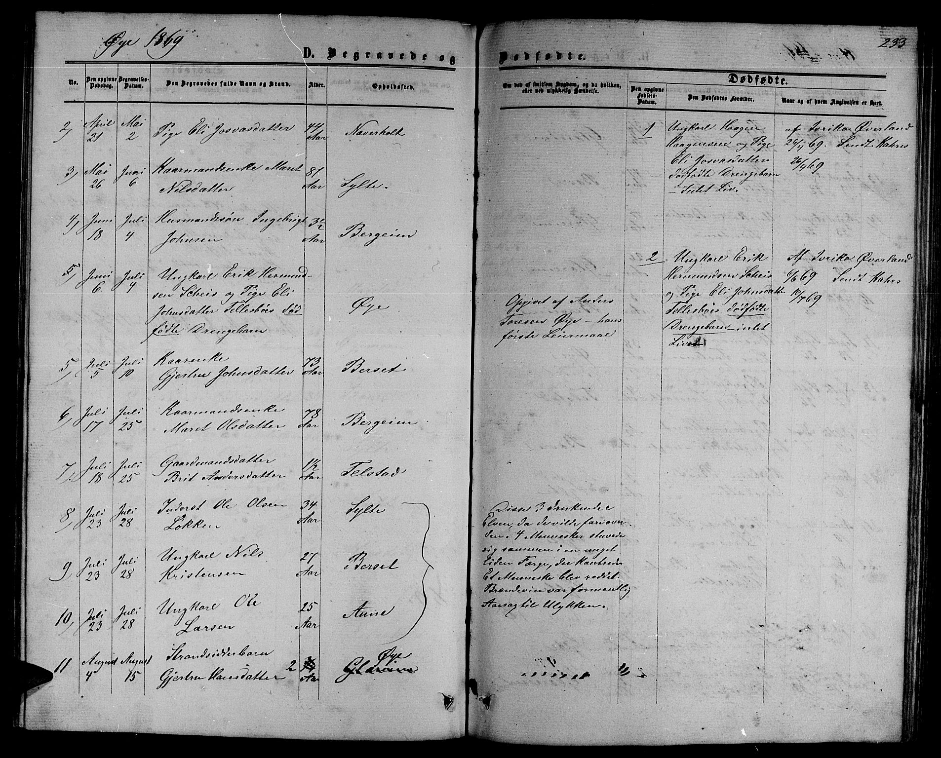 Ministerialprotokoller, klokkerbøker og fødselsregistre - Møre og Romsdal, SAT/A-1454/595/L1051: Parish register (copy) no. 595C03, 1866-1891, p. 233