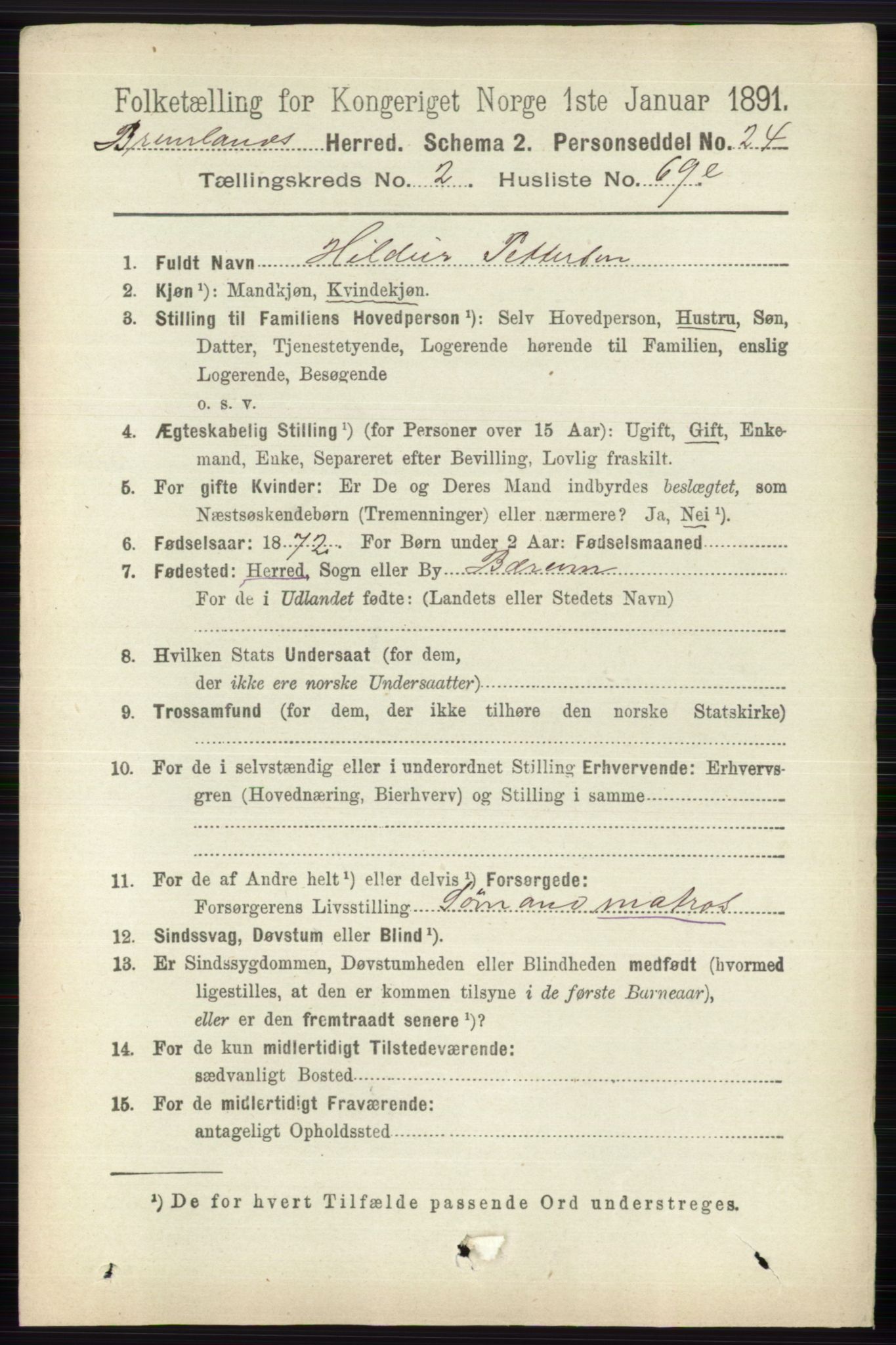 RA, 1891 census for 0726 Brunlanes, 1891, p. 1273