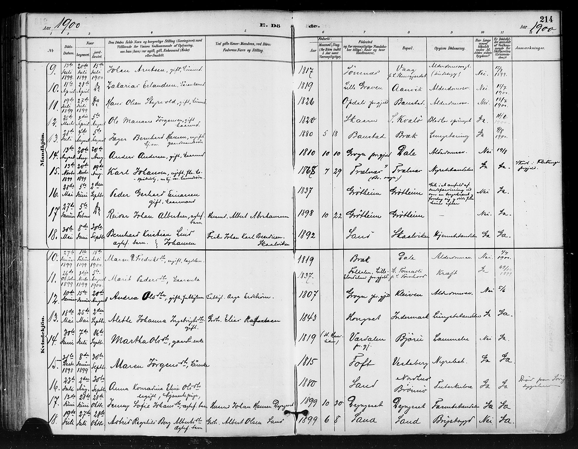 Ministerialprotokoller, klokkerbøker og fødselsregistre - Nordland, AV/SAT-A-1459/812/L0178: Parish register (official) no. 812A07, 1886-1900, p. 214