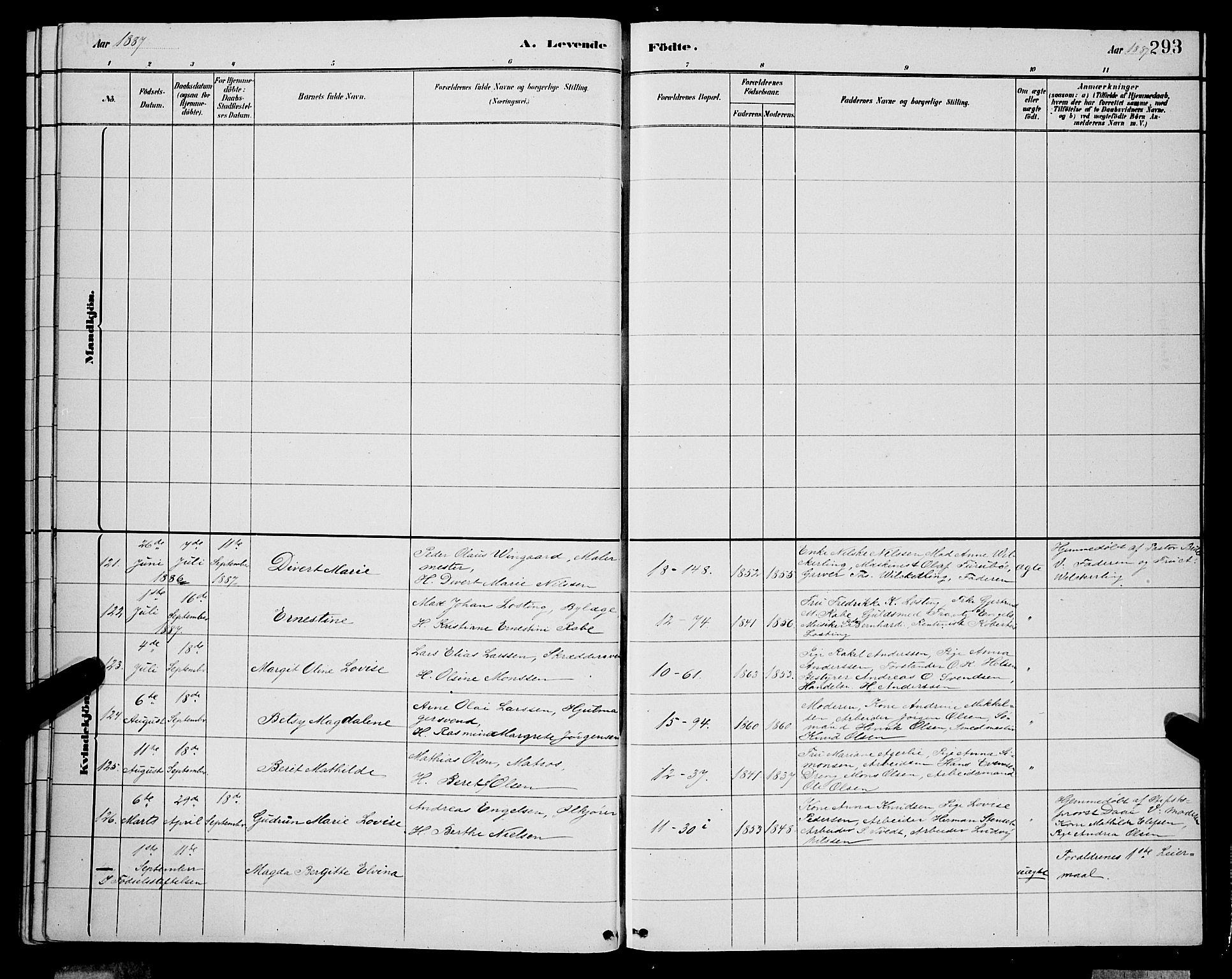 Domkirken sokneprestembete, SAB/A-74801/H/Hab/L0015: Parish register (copy) no. B 8, 1879-1887, p. 293