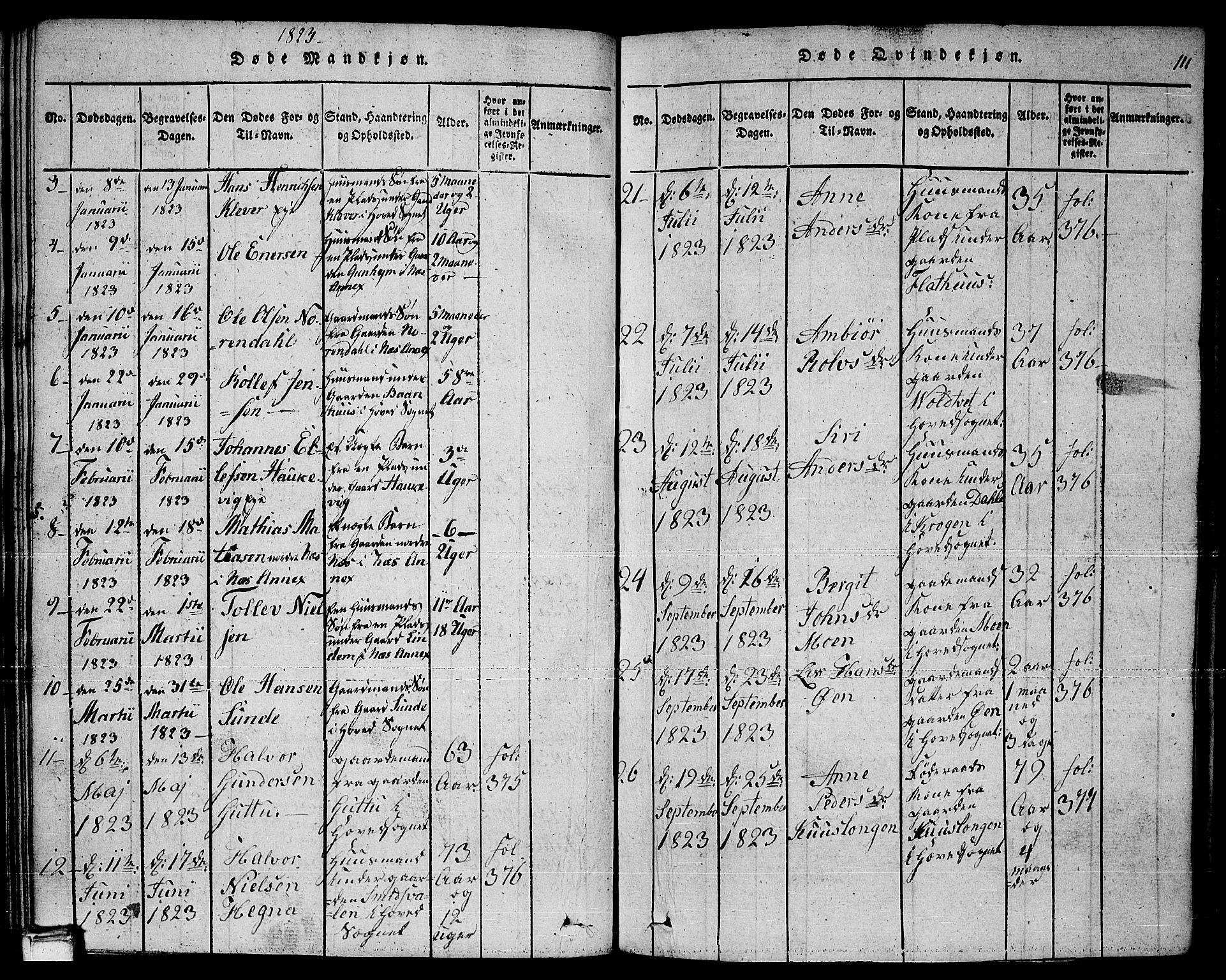 Sauherad kirkebøker, AV/SAKO-A-298/F/Fa/L0005: Parish register (official) no. I 5, 1815-1829, p. 111