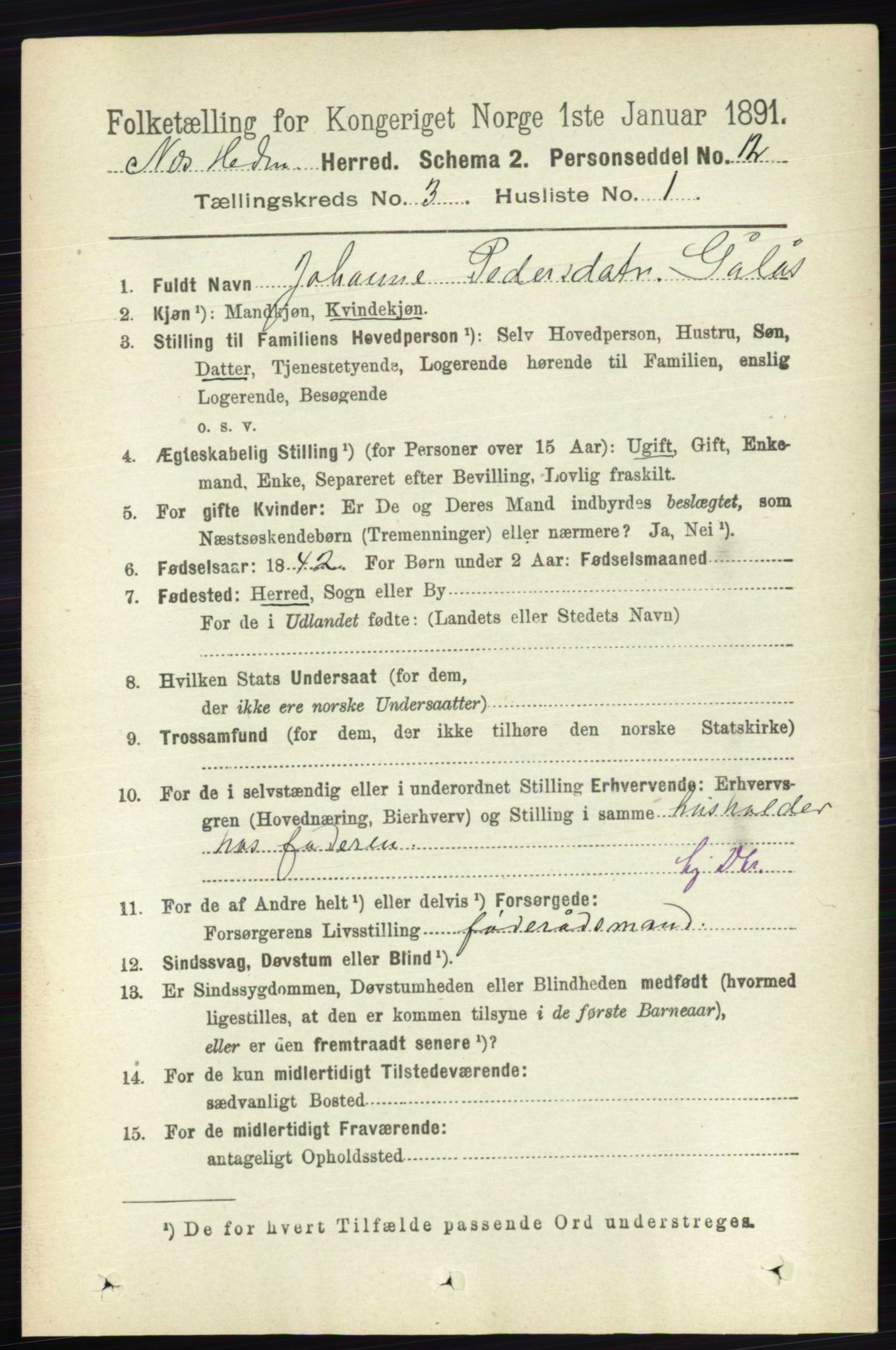 RA, 1891 census for 0411 Nes, 1891, p. 1599