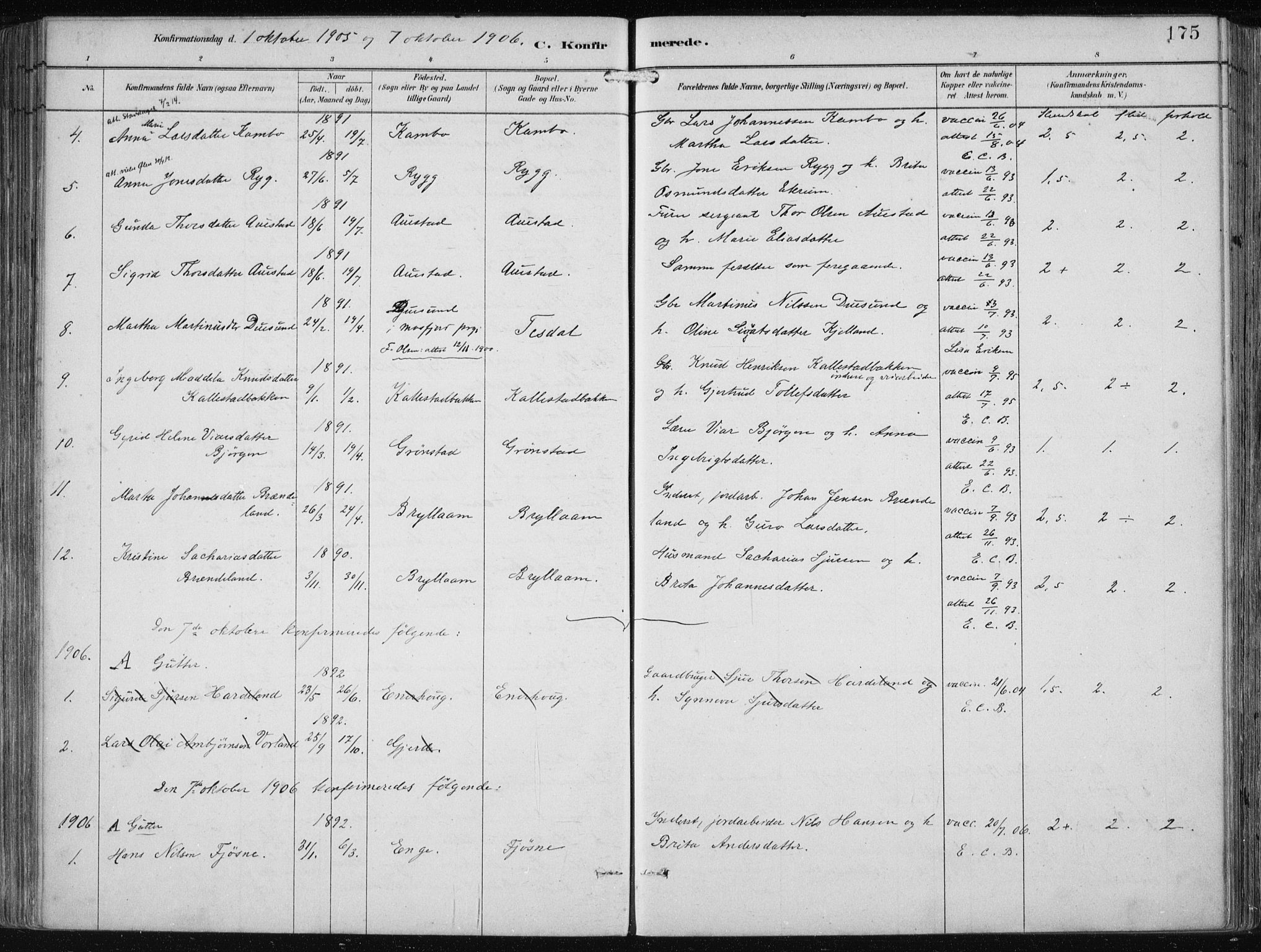Etne sokneprestembete, SAB/A-75001/H/Haa: Parish register (official) no. B  1, 1879-1919, p. 175