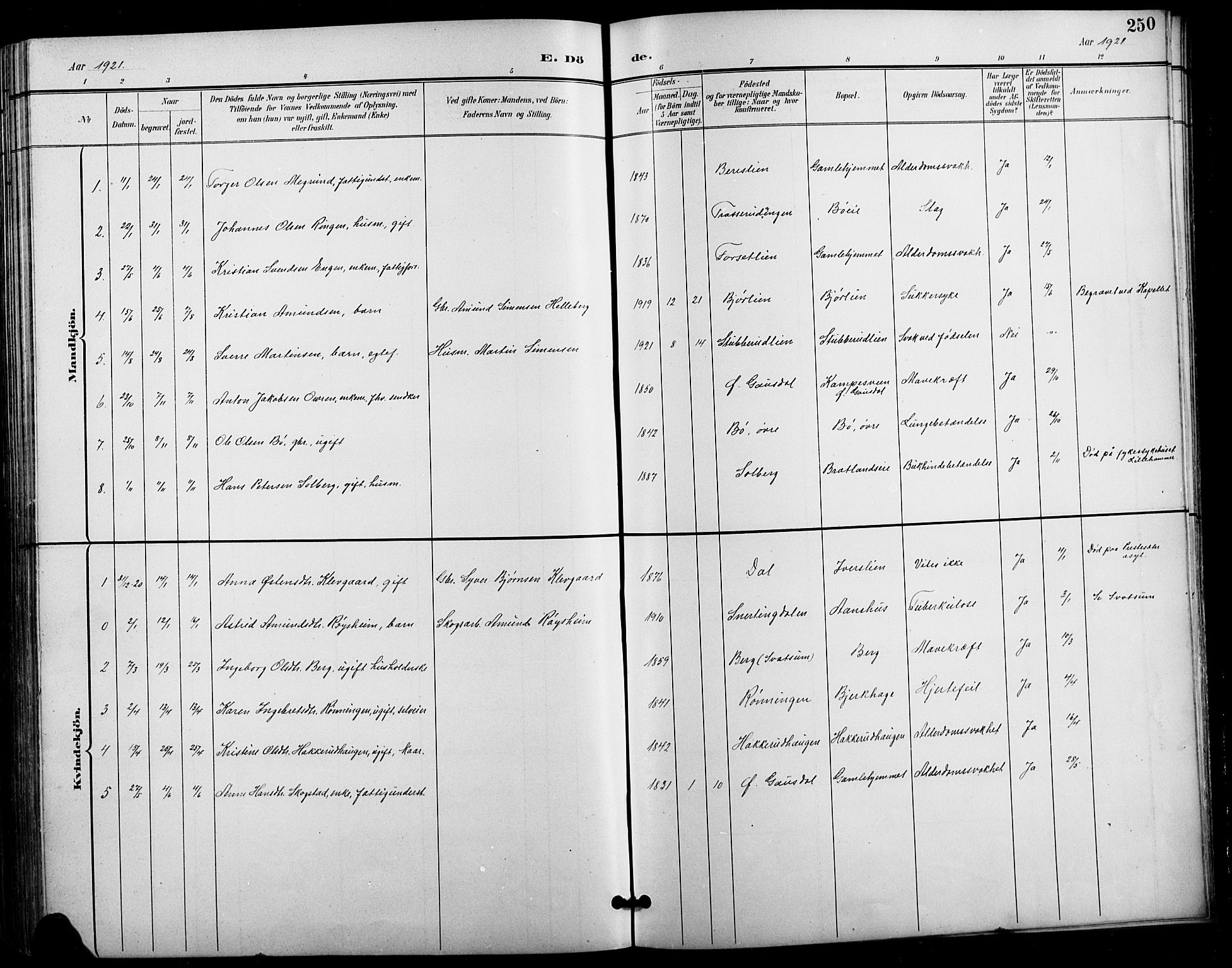 Vestre Gausdal prestekontor, SAH/PREST-094/H/Ha/Hab/L0003: Parish register (copy) no. 3, 1896-1925, p. 250