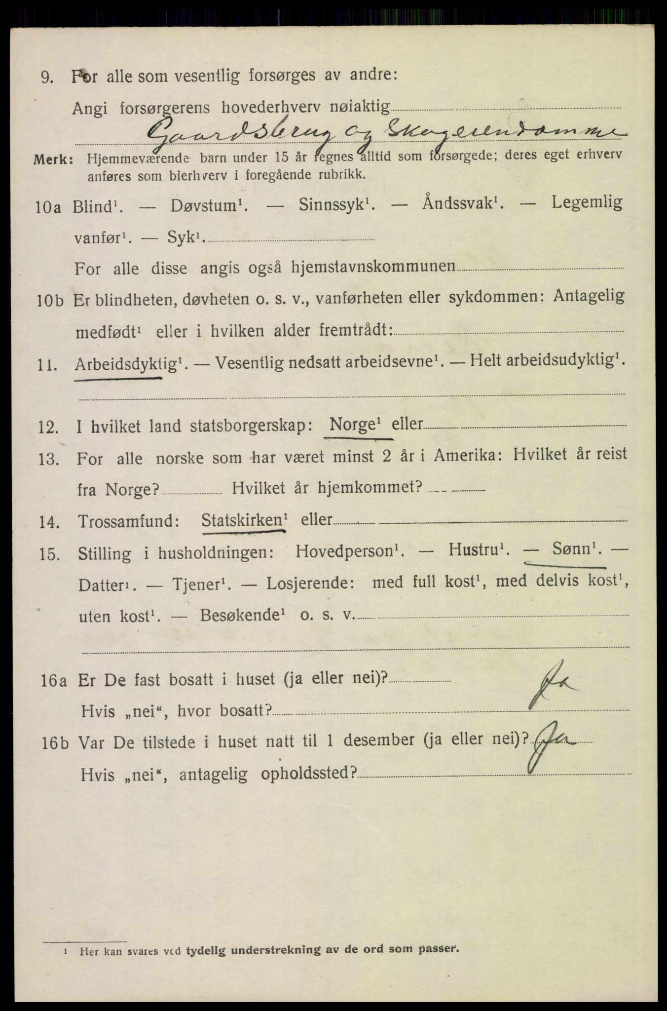 SAH, 1920 census for Elverum, 1920, p. 10839