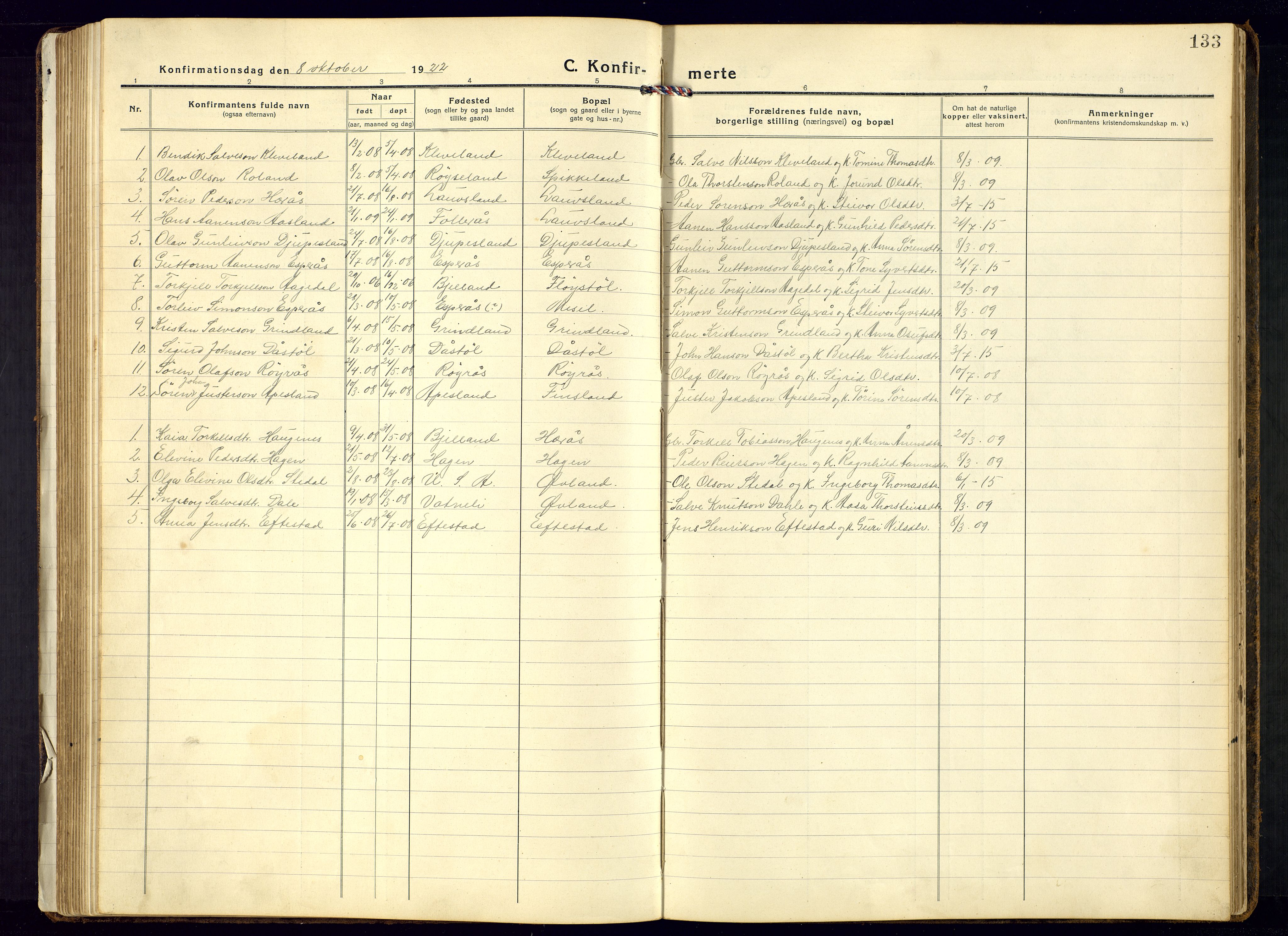 Bjelland sokneprestkontor, SAK/1111-0005/F/Fb/Fbb/L0006: Parish register (copy) no. B-6, 1918-1946, p. 133