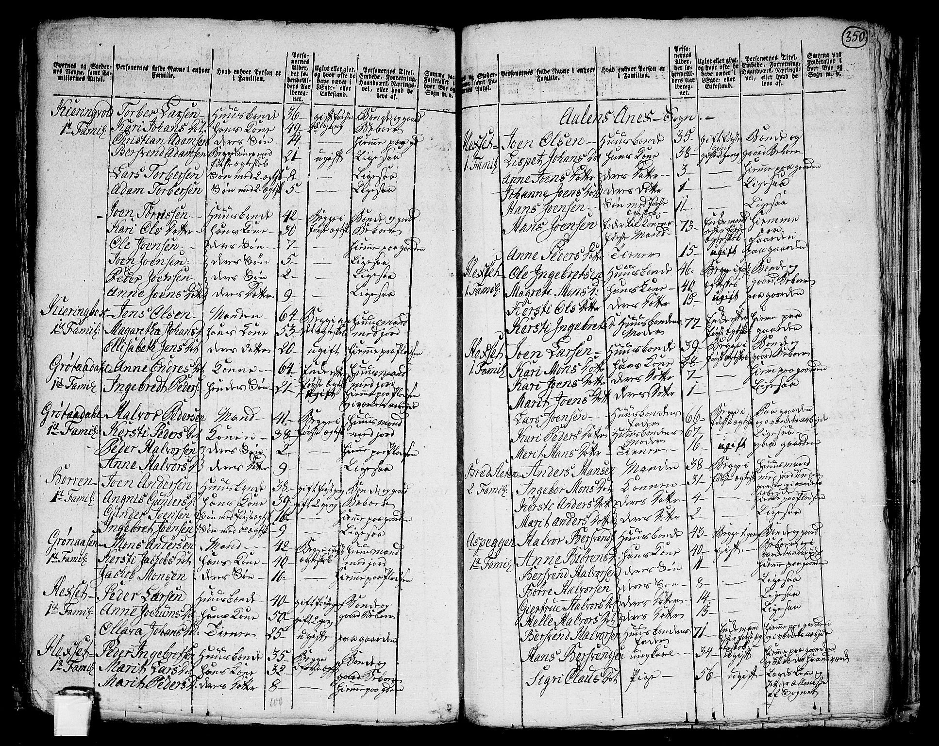 RA, 1801 census for 1645P Haltdalen, 1801, p. 349b-350a