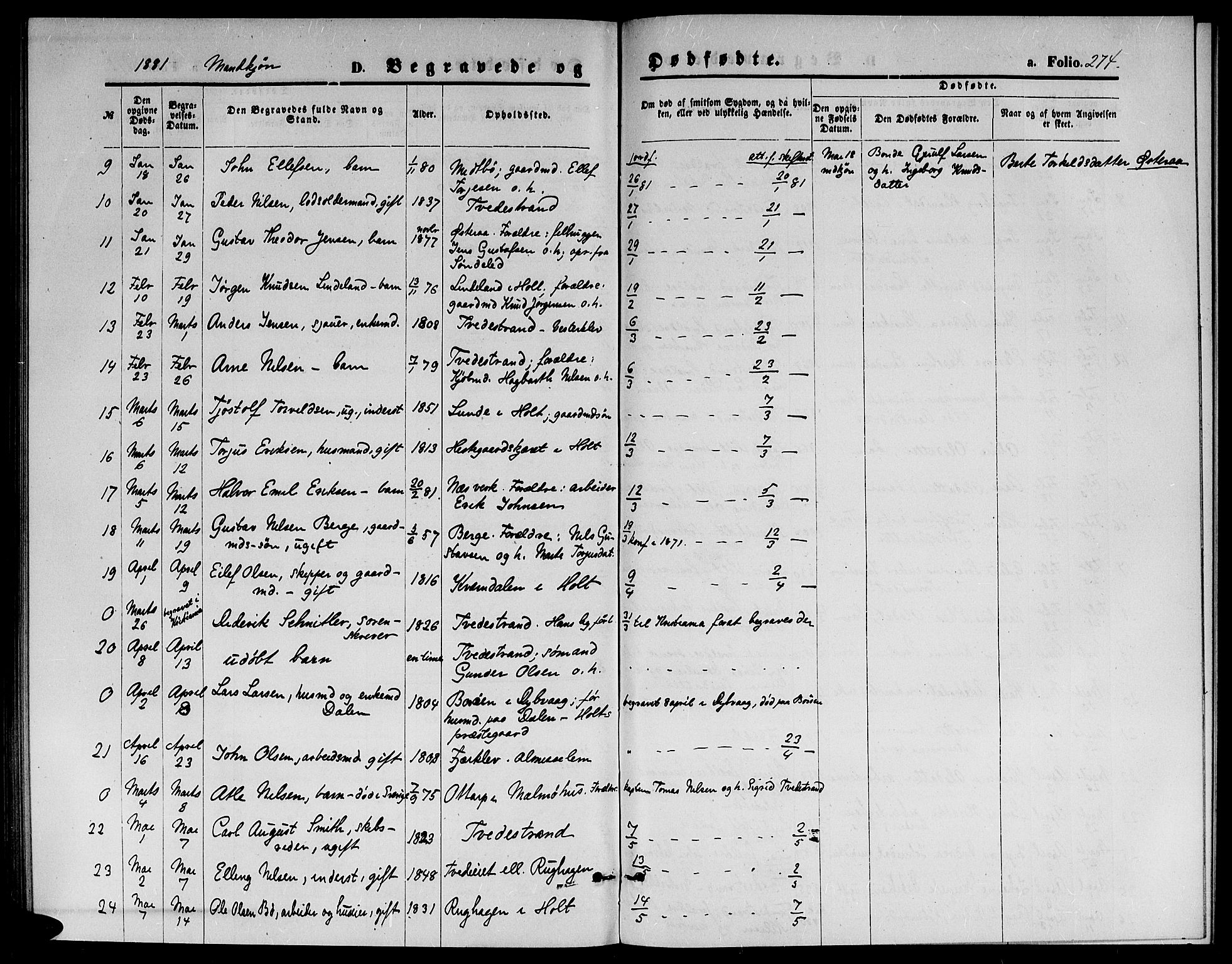 Holt sokneprestkontor, AV/SAK-1111-0021/F/Fb/L0009: Parish register (copy) no. B 9, 1871-1883, p. 274