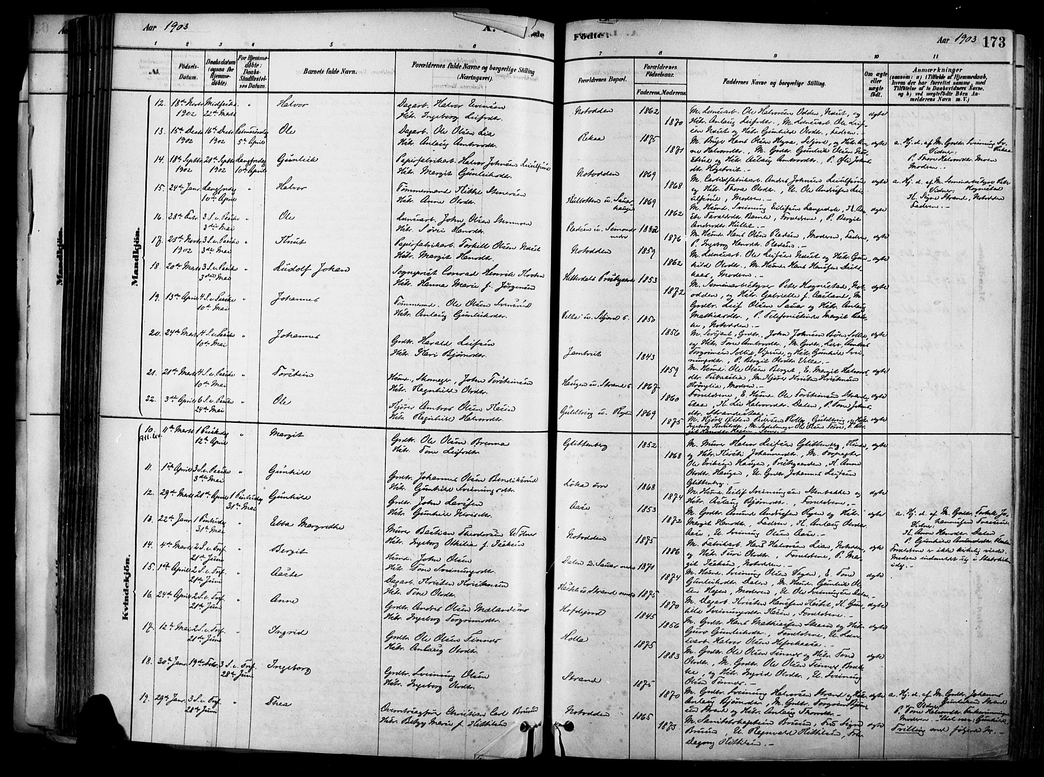 Heddal kirkebøker, AV/SAKO-A-268/F/Fa/L0008: Parish register (official) no. I 8, 1878-1903, p. 173