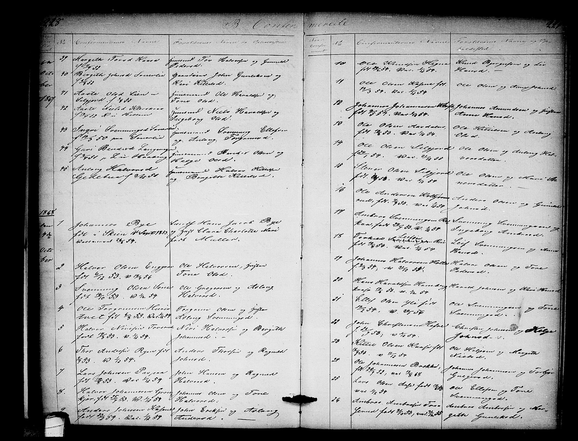 Heddal kirkebøker, SAKO/A-268/G/Ga/L0001: Parish register (copy) no. I 1, 1866-1878, p. 228-229