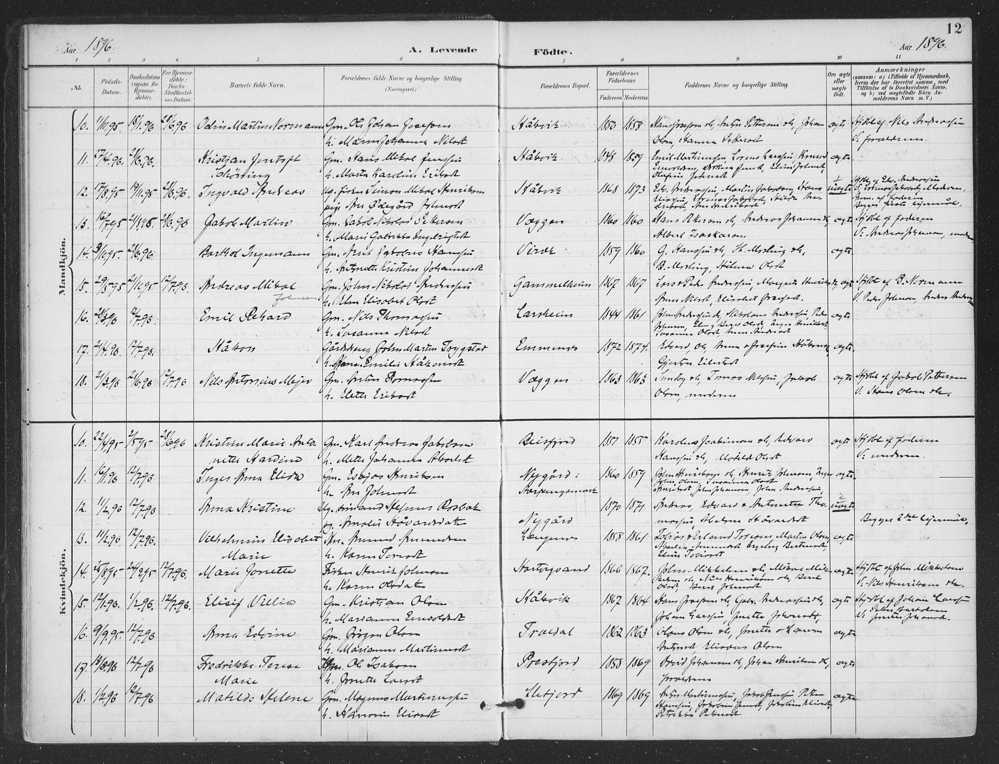 Ministerialprotokoller, klokkerbøker og fødselsregistre - Nordland, AV/SAT-A-1459/866/L0939: Parish register (official) no. 866A02, 1894-1906, p. 12