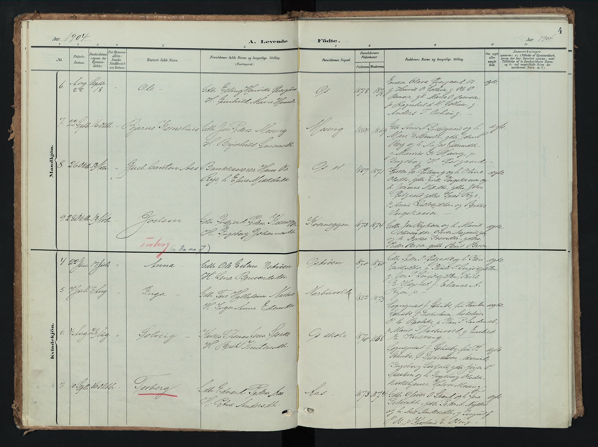 Tolga prestekontor, AV/SAH-PREST-062/K/L0009: Parish register (official) no. 9, 1903-1928, p. 4