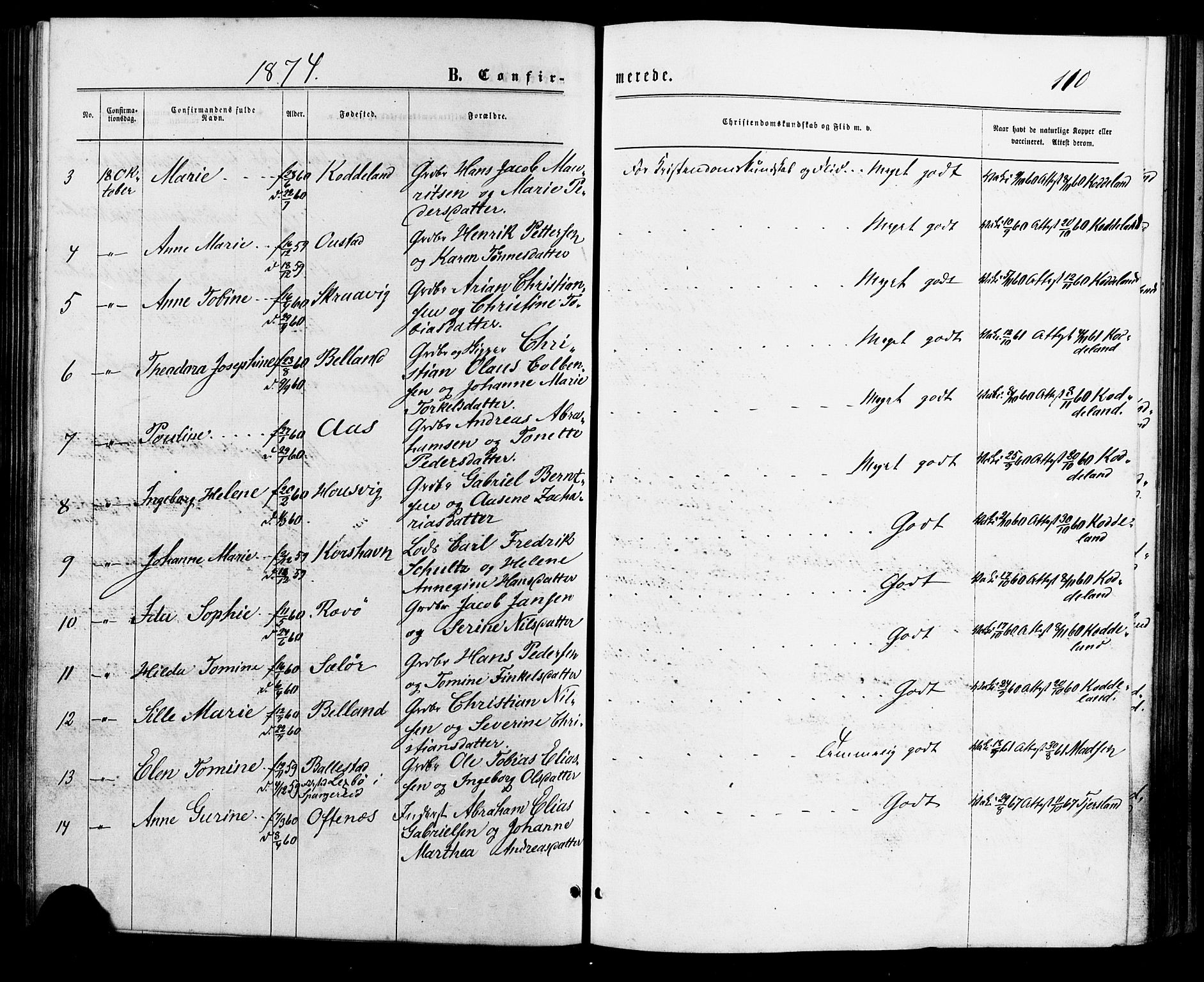 Lyngdal sokneprestkontor, AV/SAK-1111-0029/F/Fa/Faa/L0003: Parish register (official) no. A 3, 1871-1882, p. 110