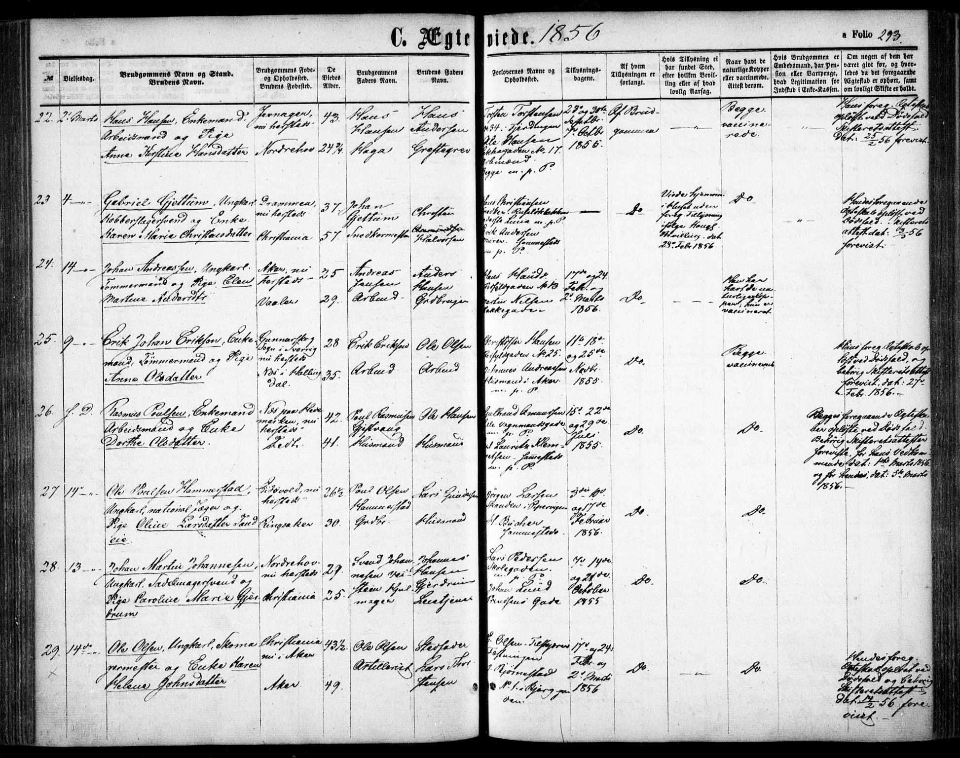 Oslo domkirke Kirkebøker, AV/SAO-A-10752/F/Fa/L0020: Parish register (official) no. 20, 1848-1865, p. 293