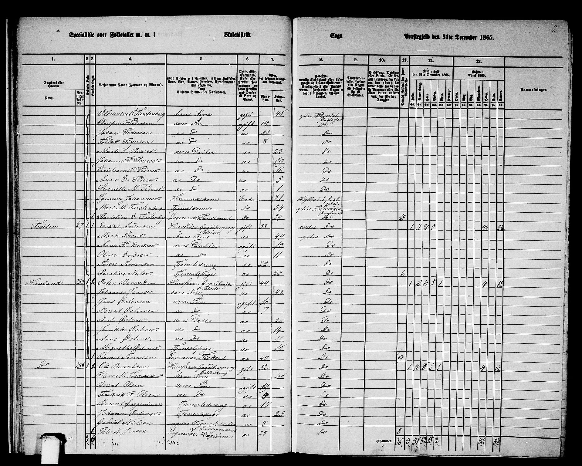 RA, 1865 census for Ytre Holmedal, 1865, p. 22