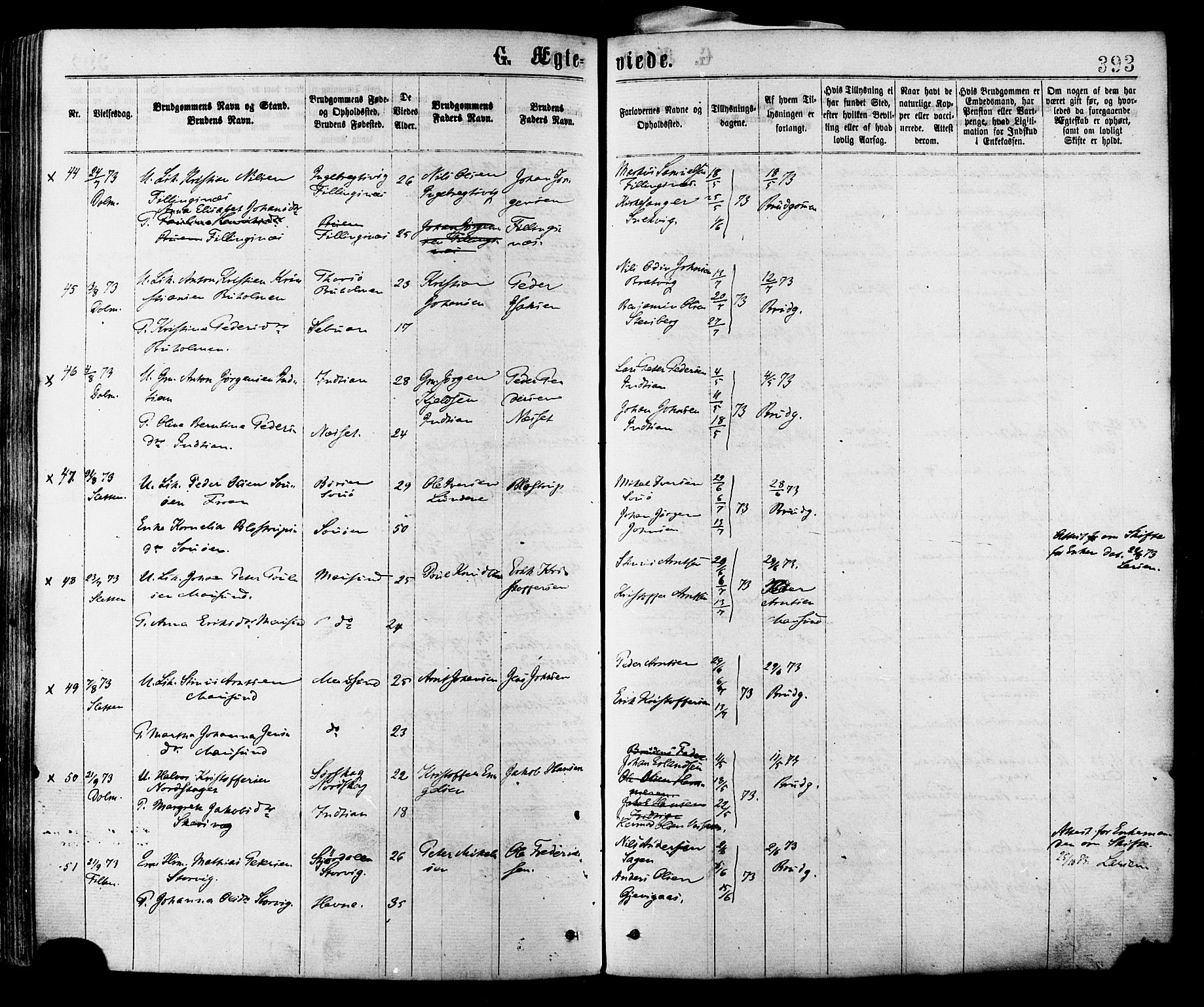 Ministerialprotokoller, klokkerbøker og fødselsregistre - Sør-Trøndelag, SAT/A-1456/634/L0532: Parish register (official) no. 634A08, 1871-1881, p. 393