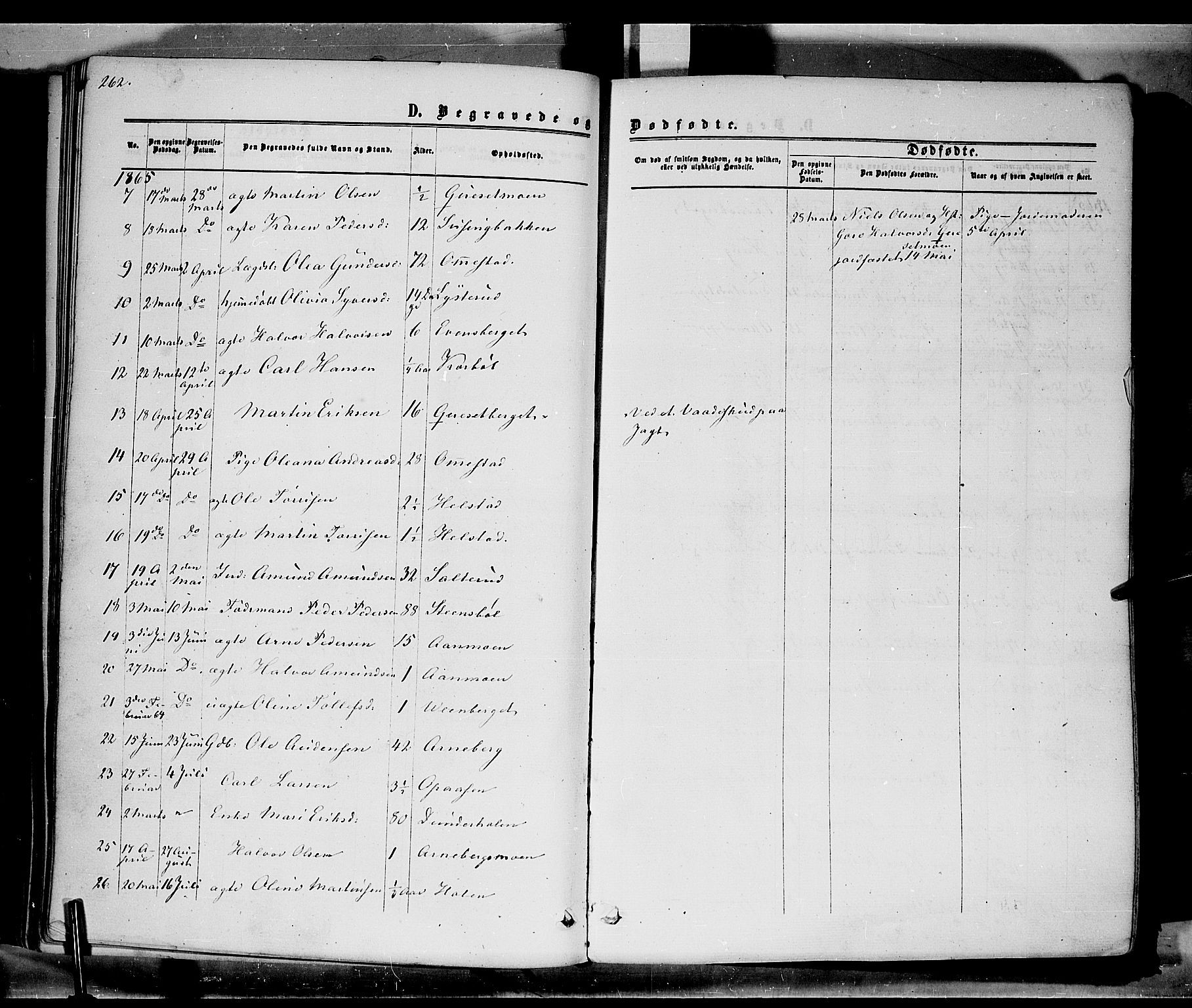 Hof prestekontor, SAH/PREST-038/H/Ha/Haa/L0009: Parish register (official) no. 9, 1862-1877, p. 262