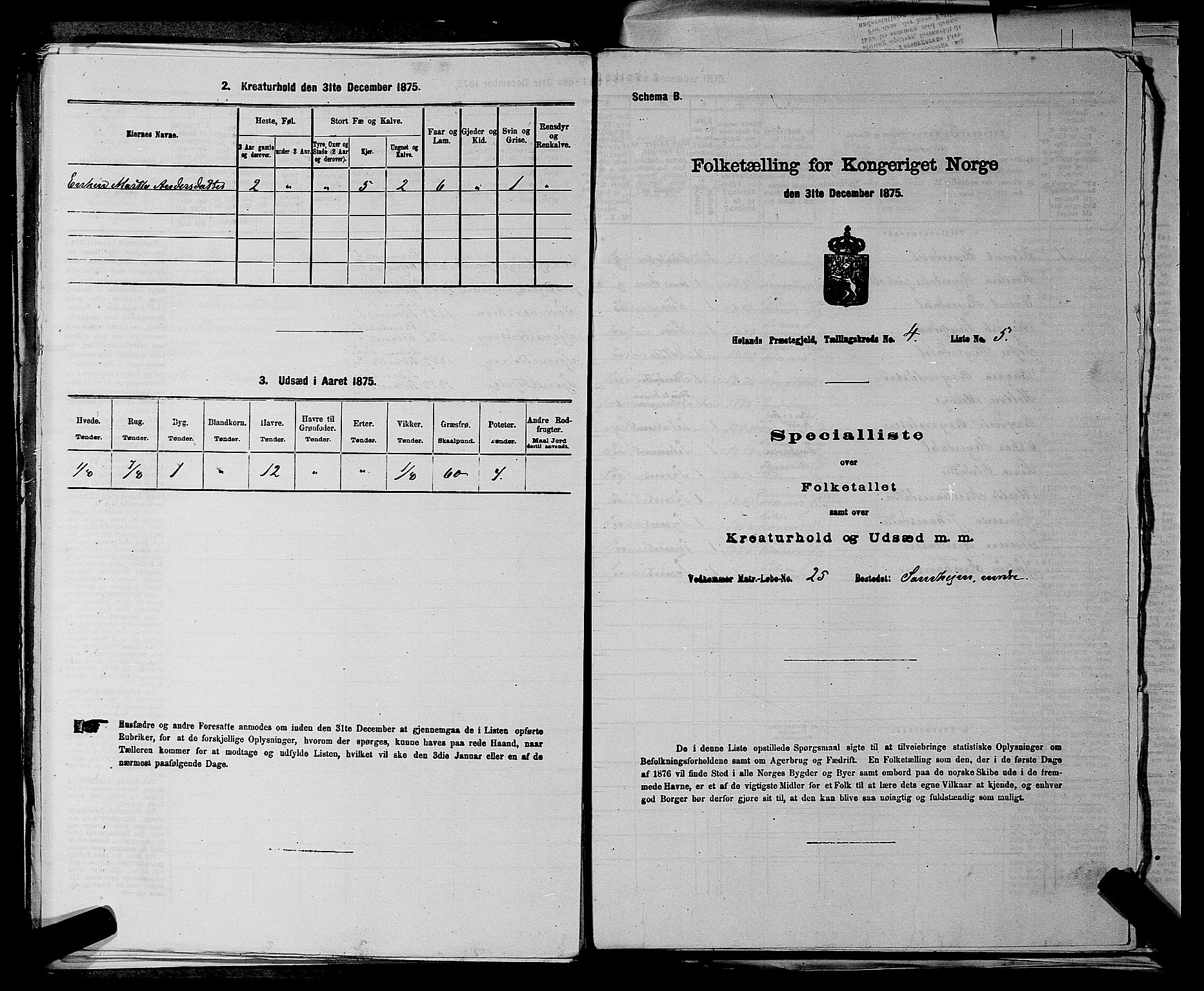 RA, 1875 census for 0221P Høland, 1875, p. 776