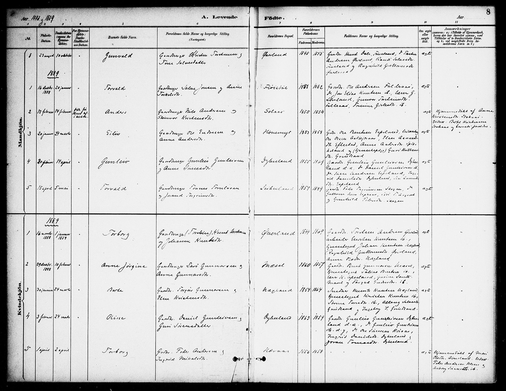 Bjelland sokneprestkontor, AV/SAK-1111-0005/F/Fa/Fab/L0004: Parish register (official) no. A 4, 1887-1920, p. 8