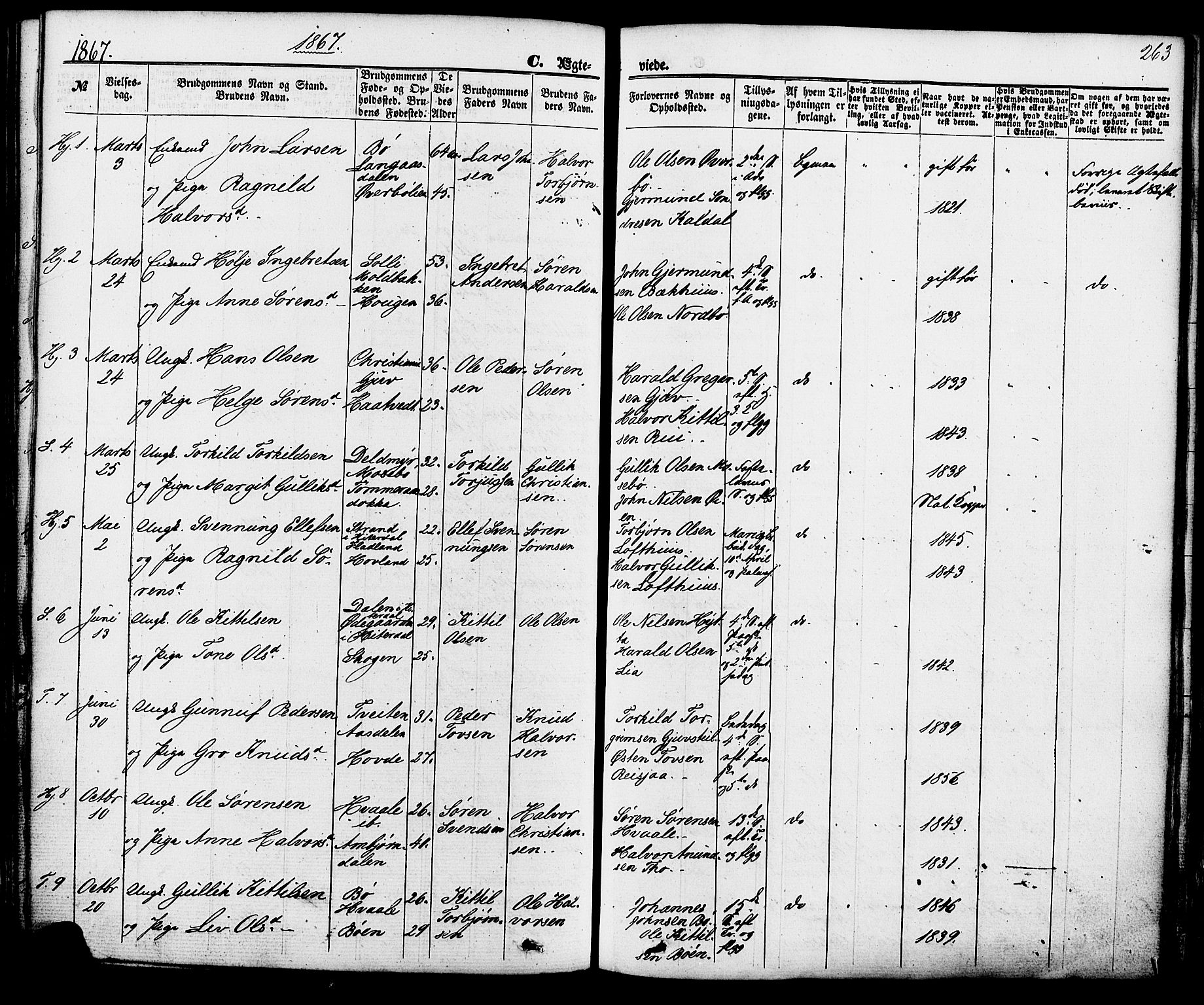 Hjartdal kirkebøker, SAKO/A-270/F/Fa/L0009: Parish register (official) no. I 9, 1860-1879, p. 263